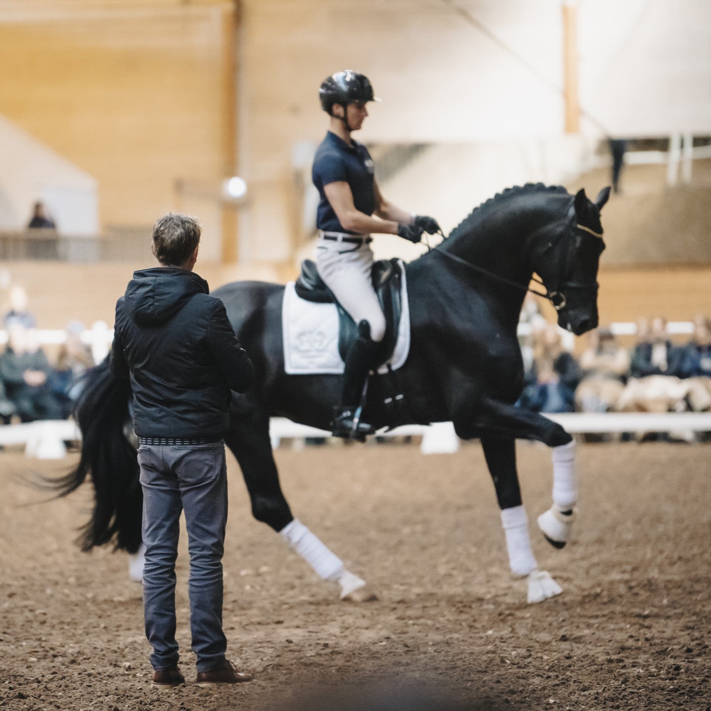 Equestrian Academy's Carl Hester Clinic x Equestrian Stockholm