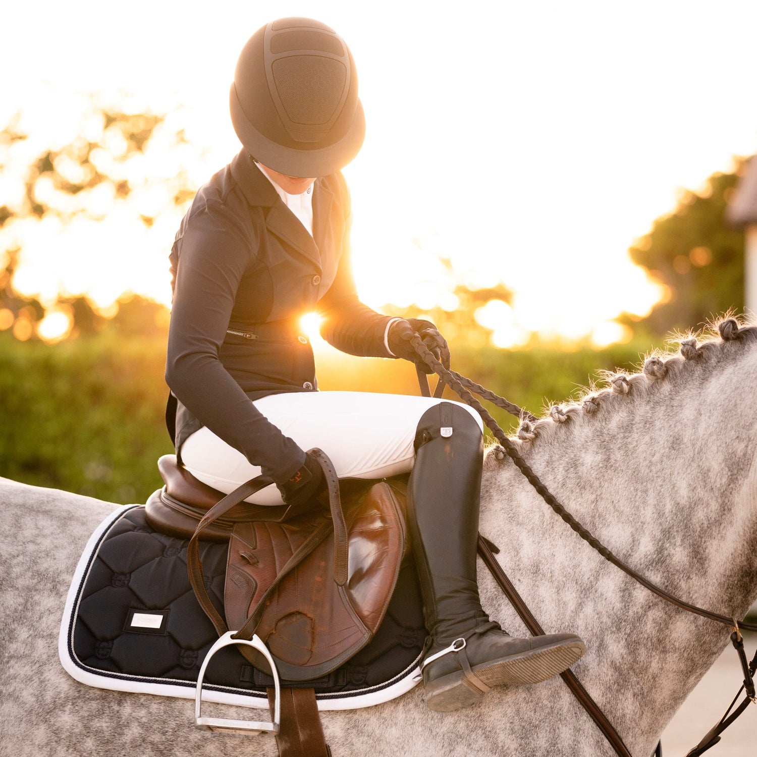 How to choose a saddle pad for your horse