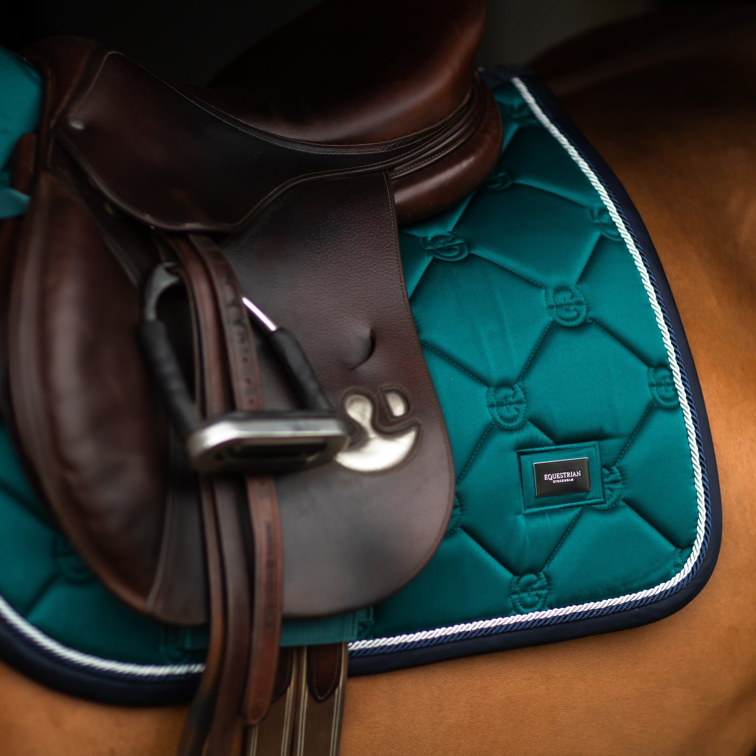 Which saddle should I choose for my horse?
