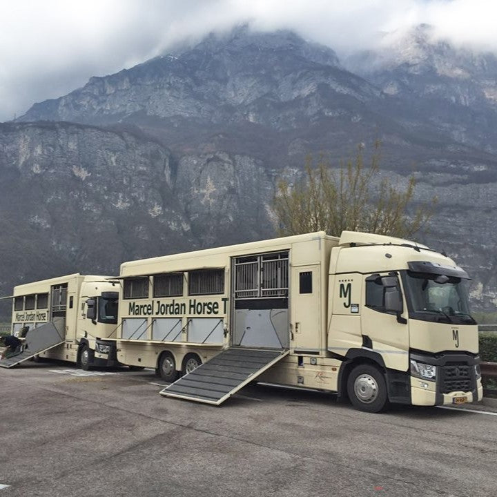 Transporting a horse through Europe: How does it work?