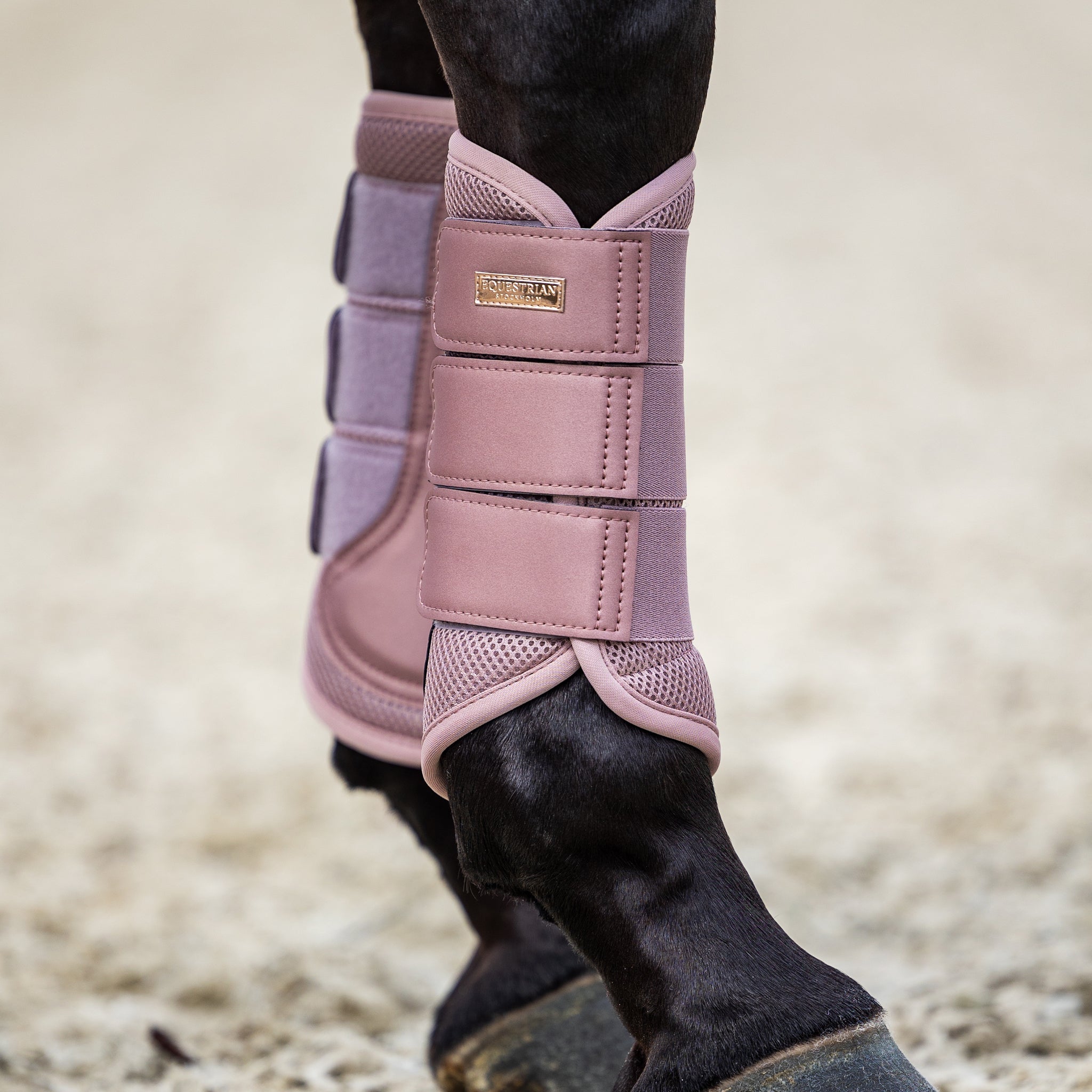 Equestrian Stockholm Gamaschen Classic Mesh Rosa
