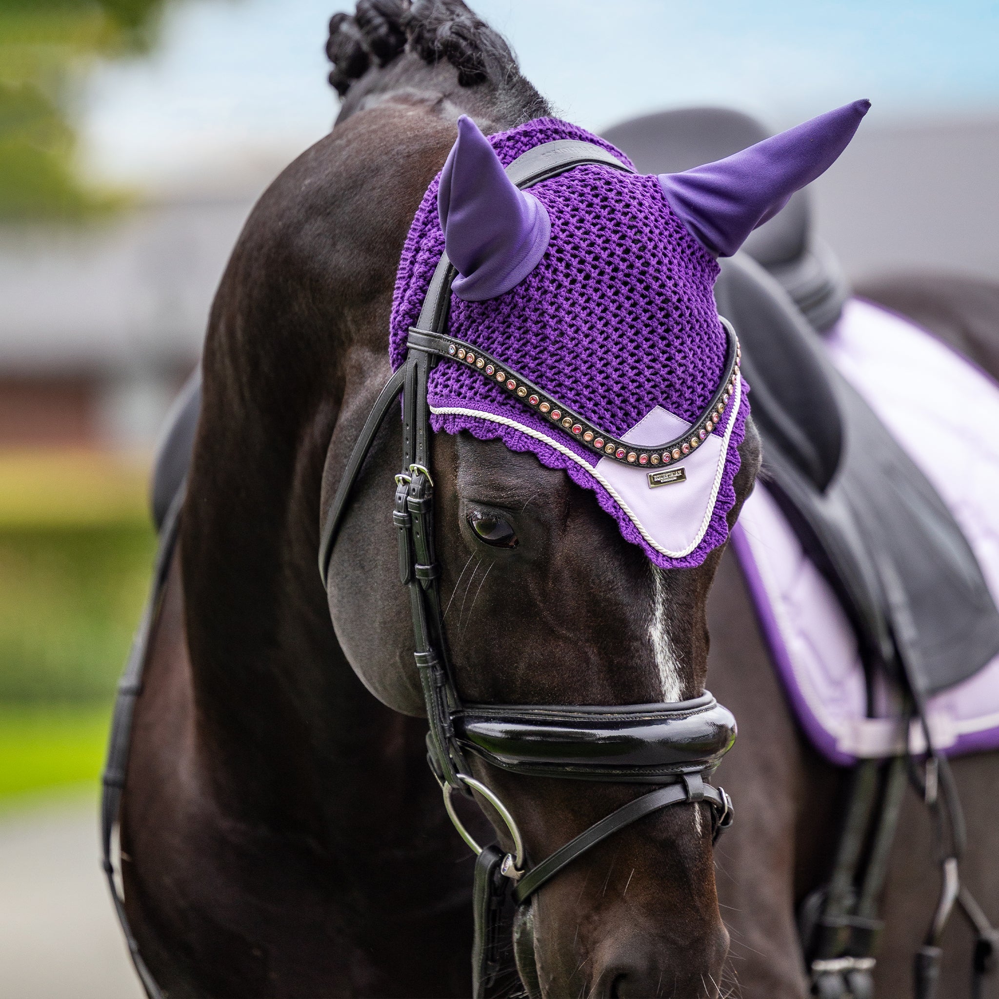 Lavender | Equestrian Stockholm