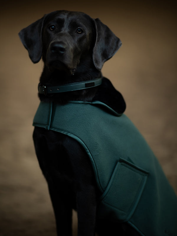 Dog Rugs | Equestrian Stockholm