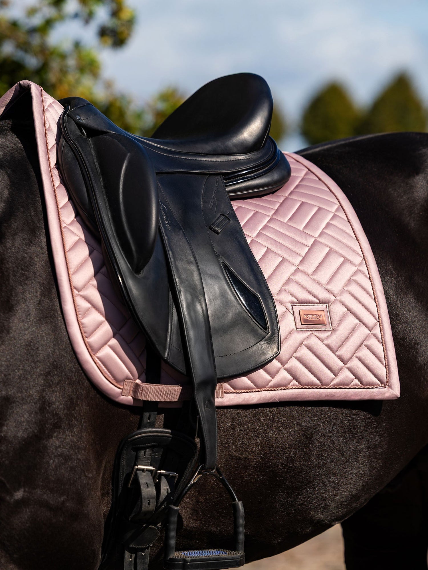Saddle Pads