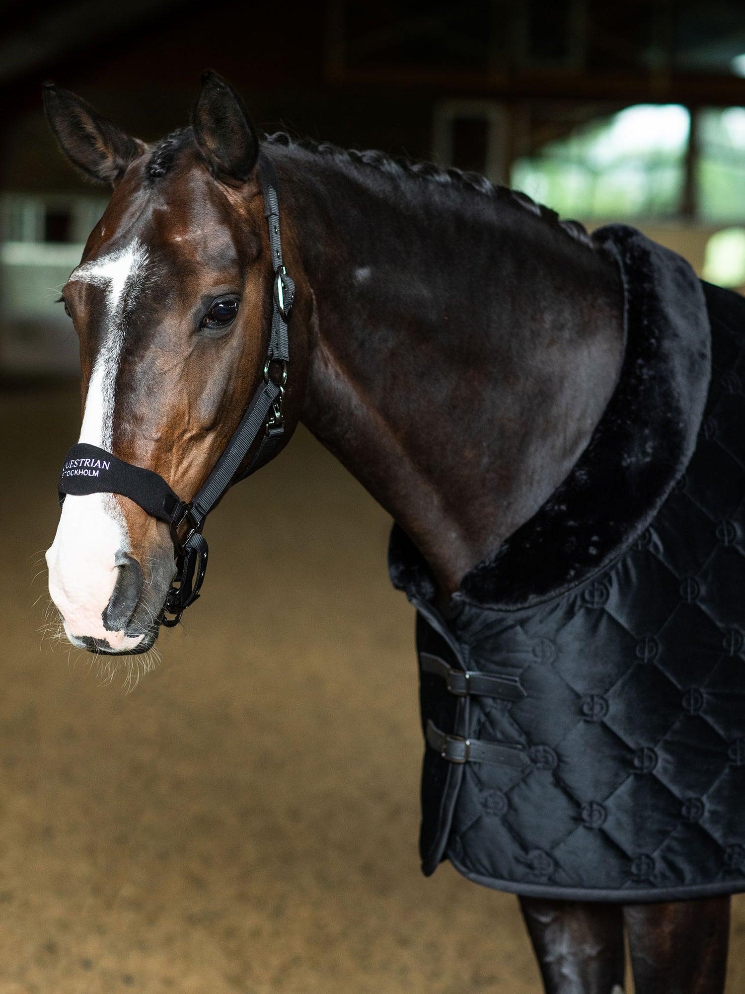 Couverture pour cheval Velvet Black