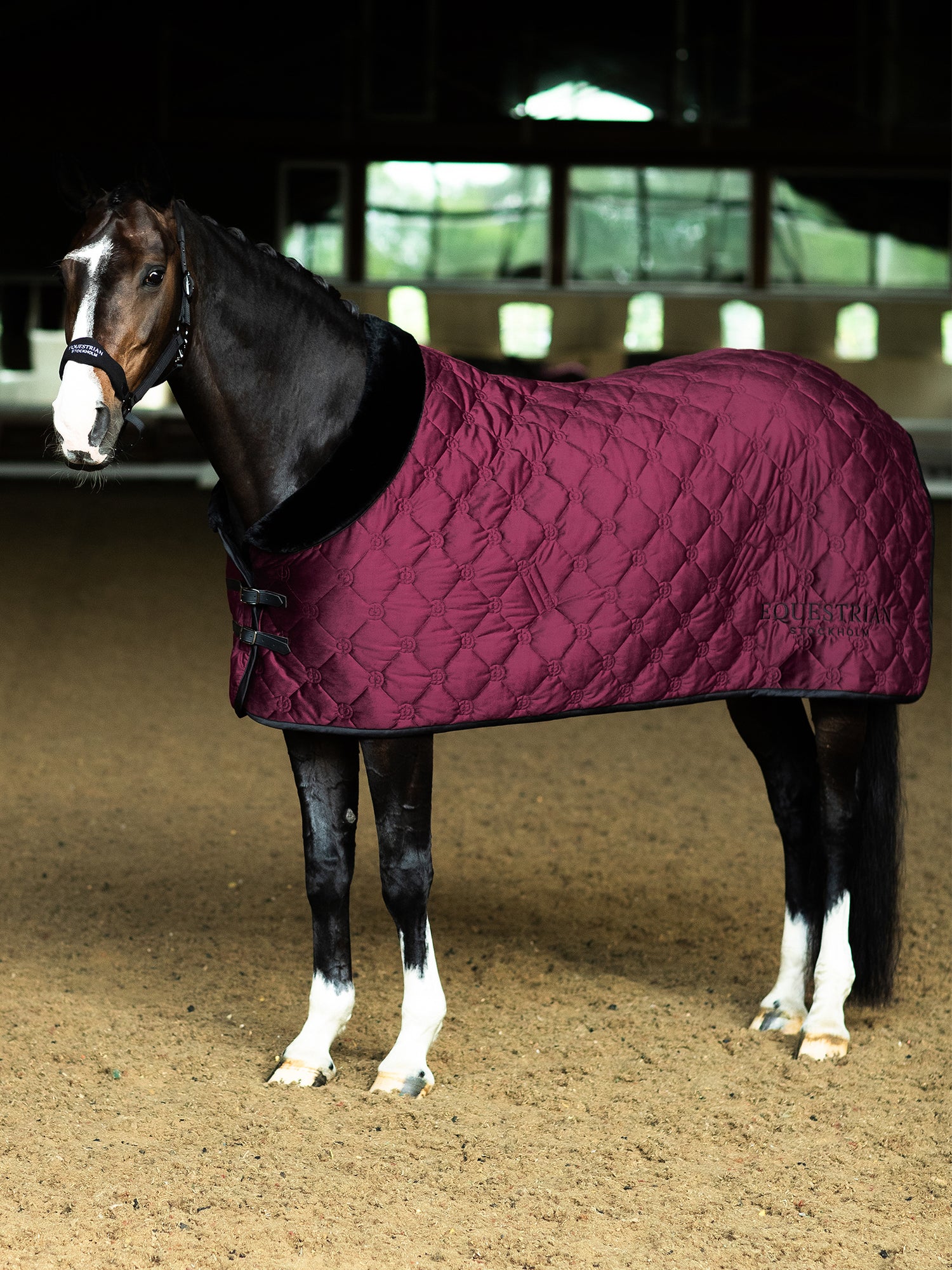 Velvet Blanket Merlot