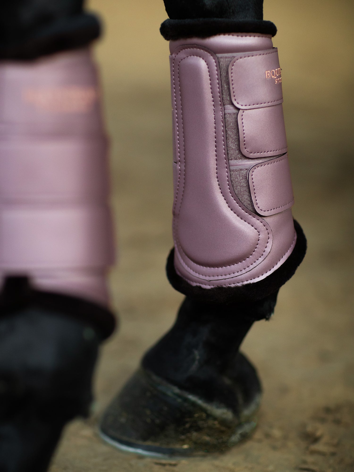 Brushing Boots Anemone