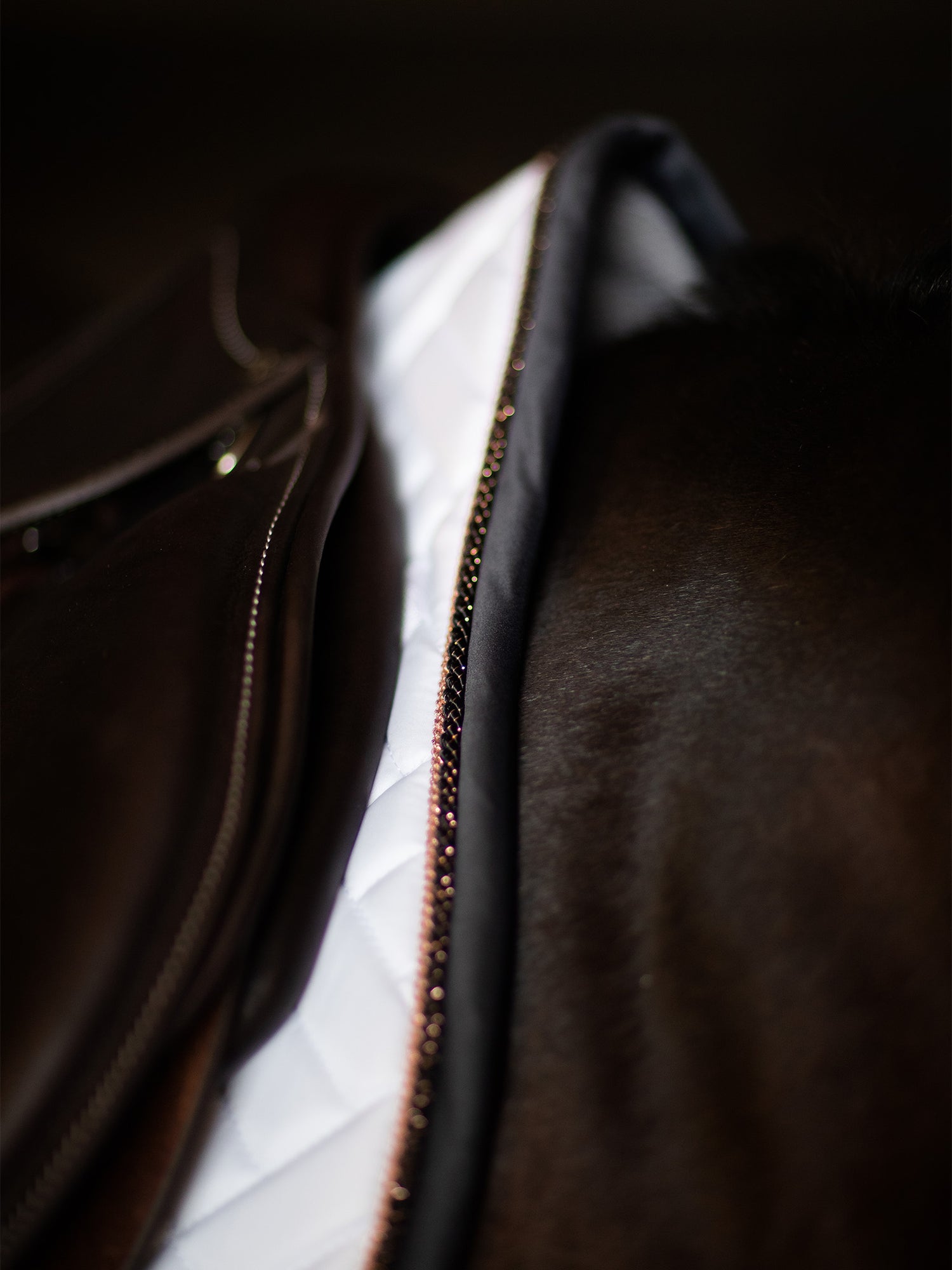 Jump Saddle Pad Modern White Dark Ocean