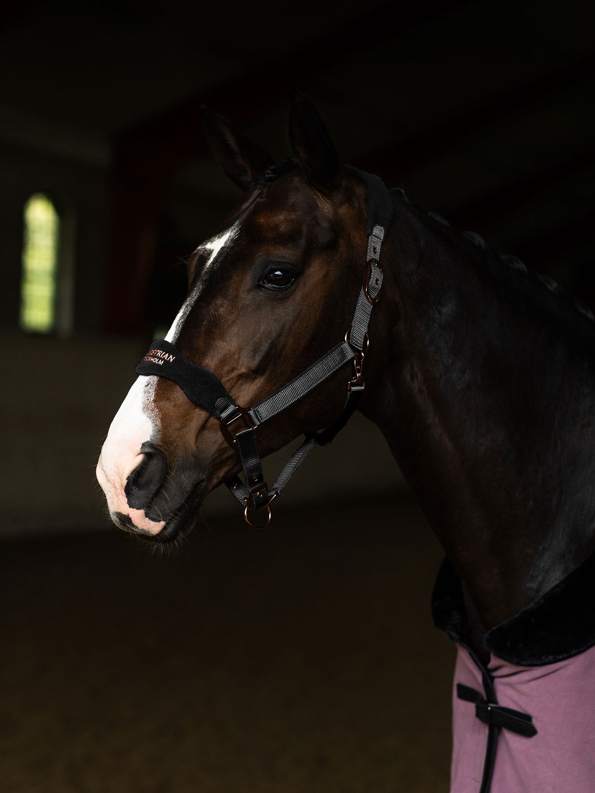 Anatomic Fleece Halter Black Blush