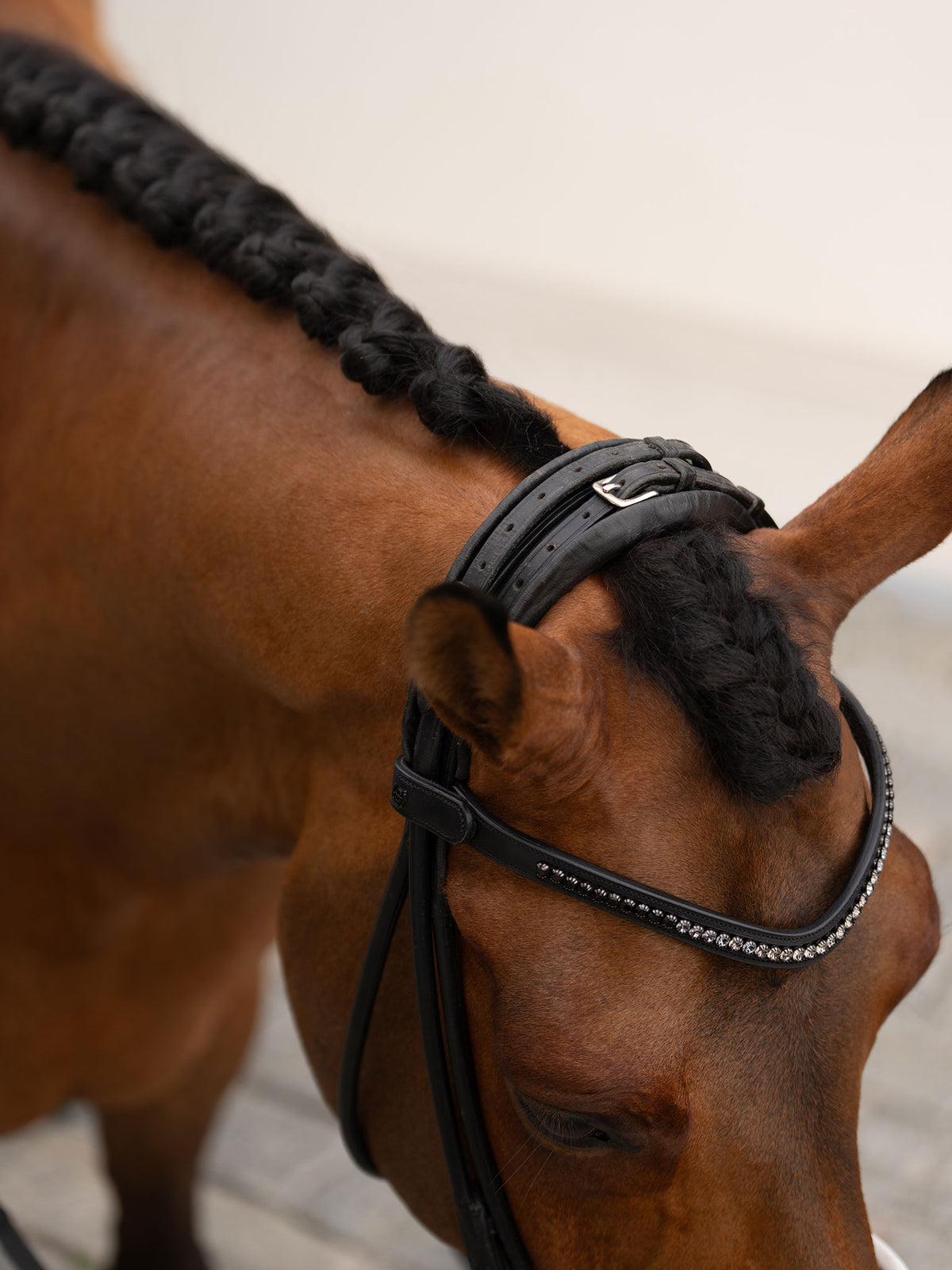 Browband Faded Black 6 mm