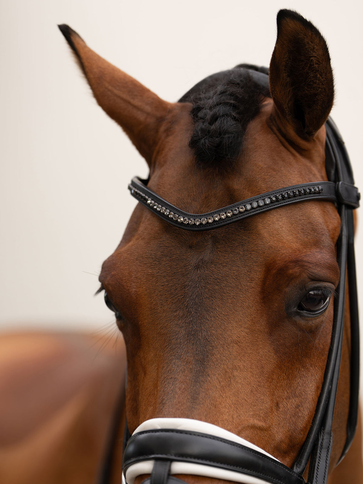 Browband Faded Black 6 mm