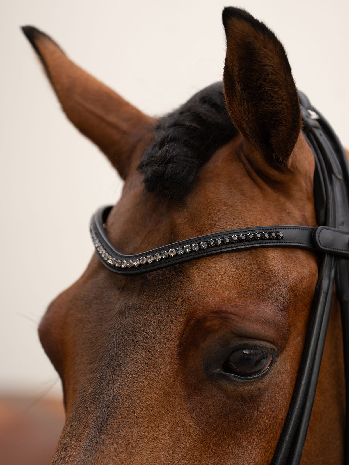 Browband Faded Black 6 mm