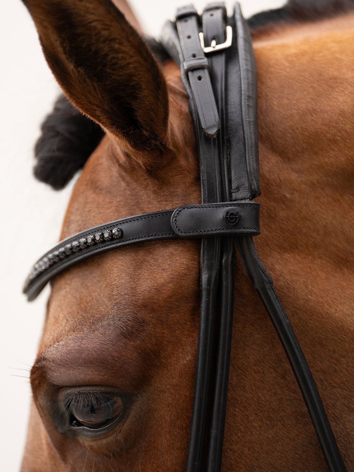 Browband Faded Black 6 mm