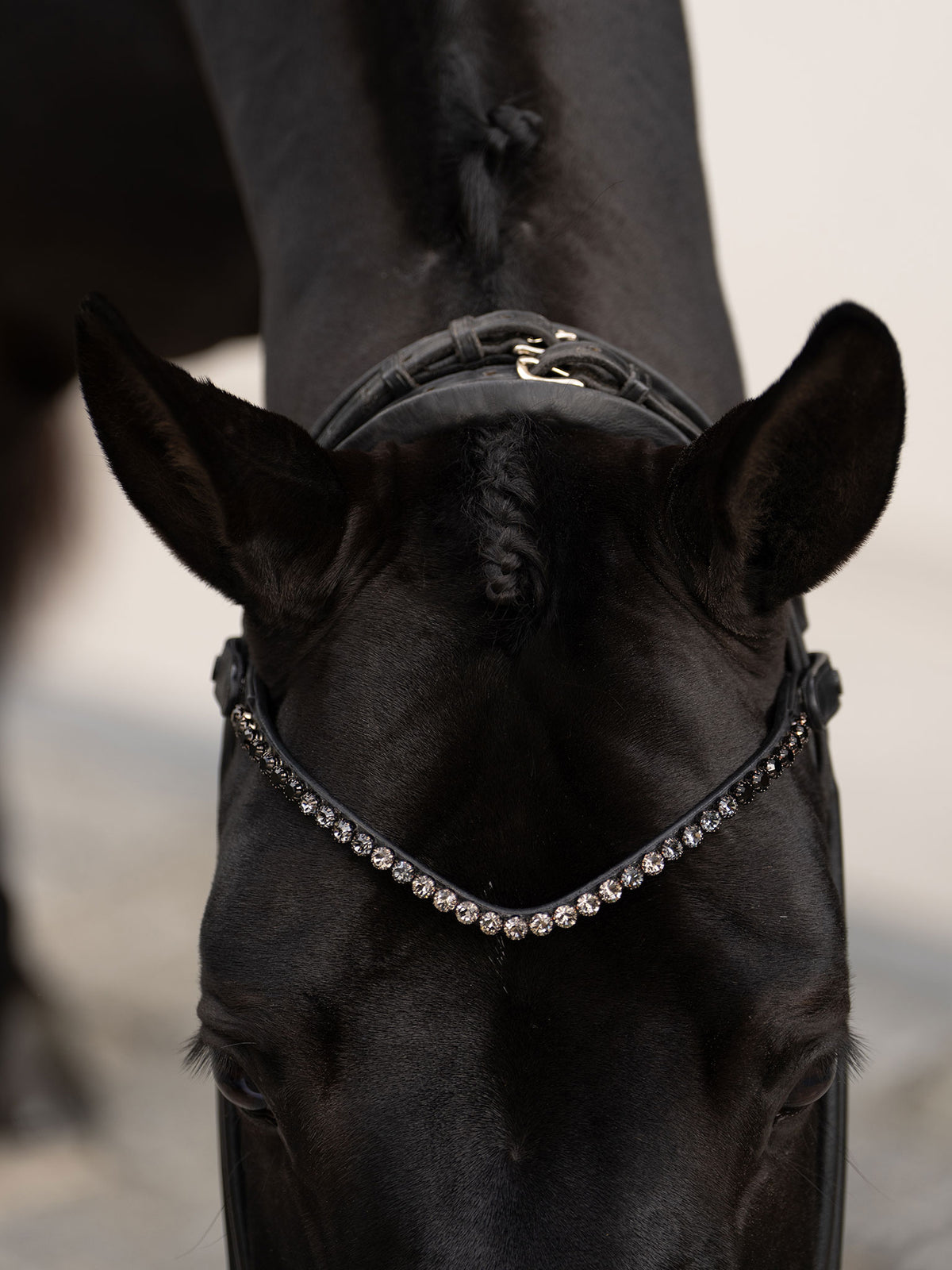 Browband Faded Black 8 mm
