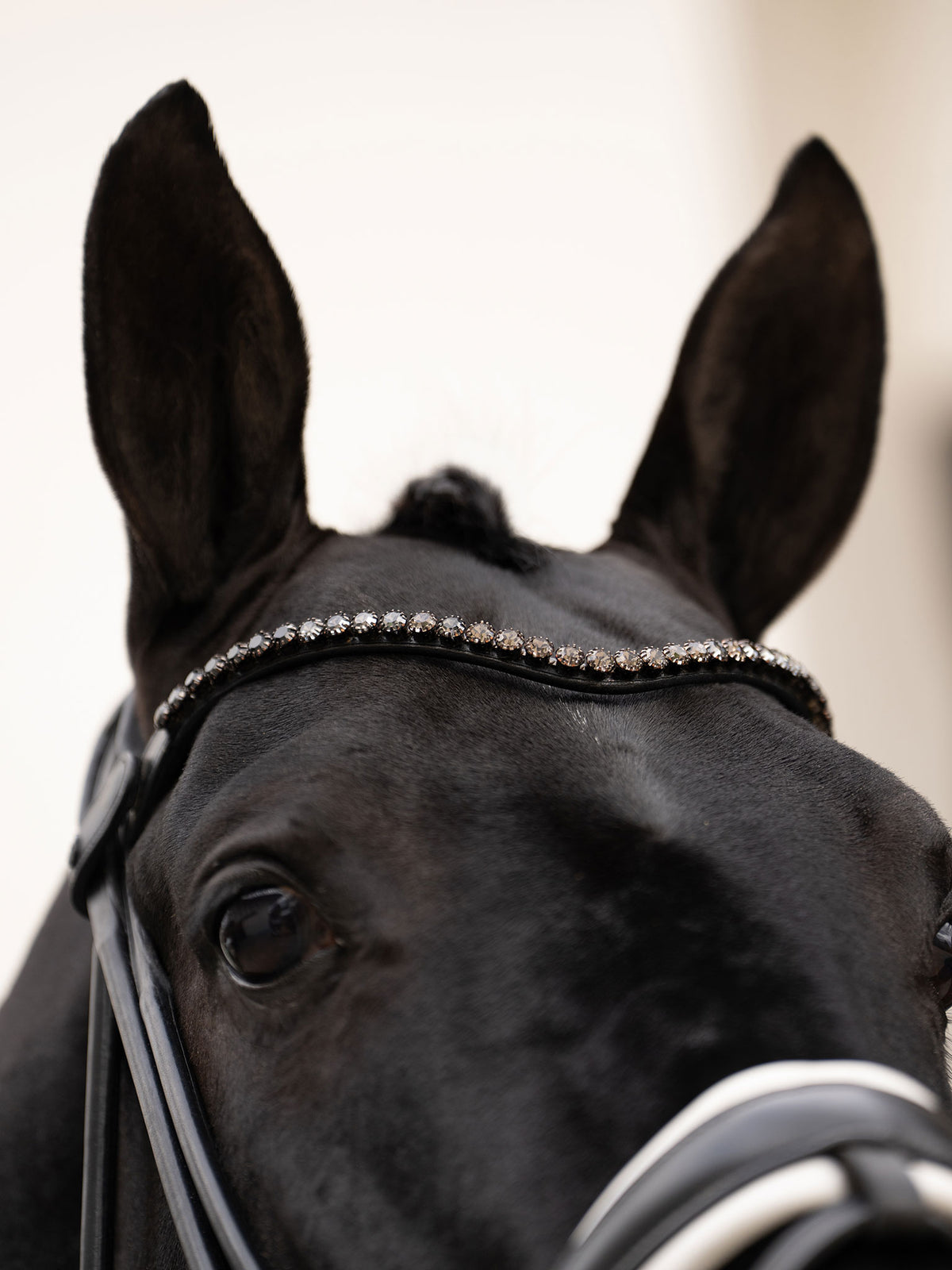 Browband Faded Black 8 mm