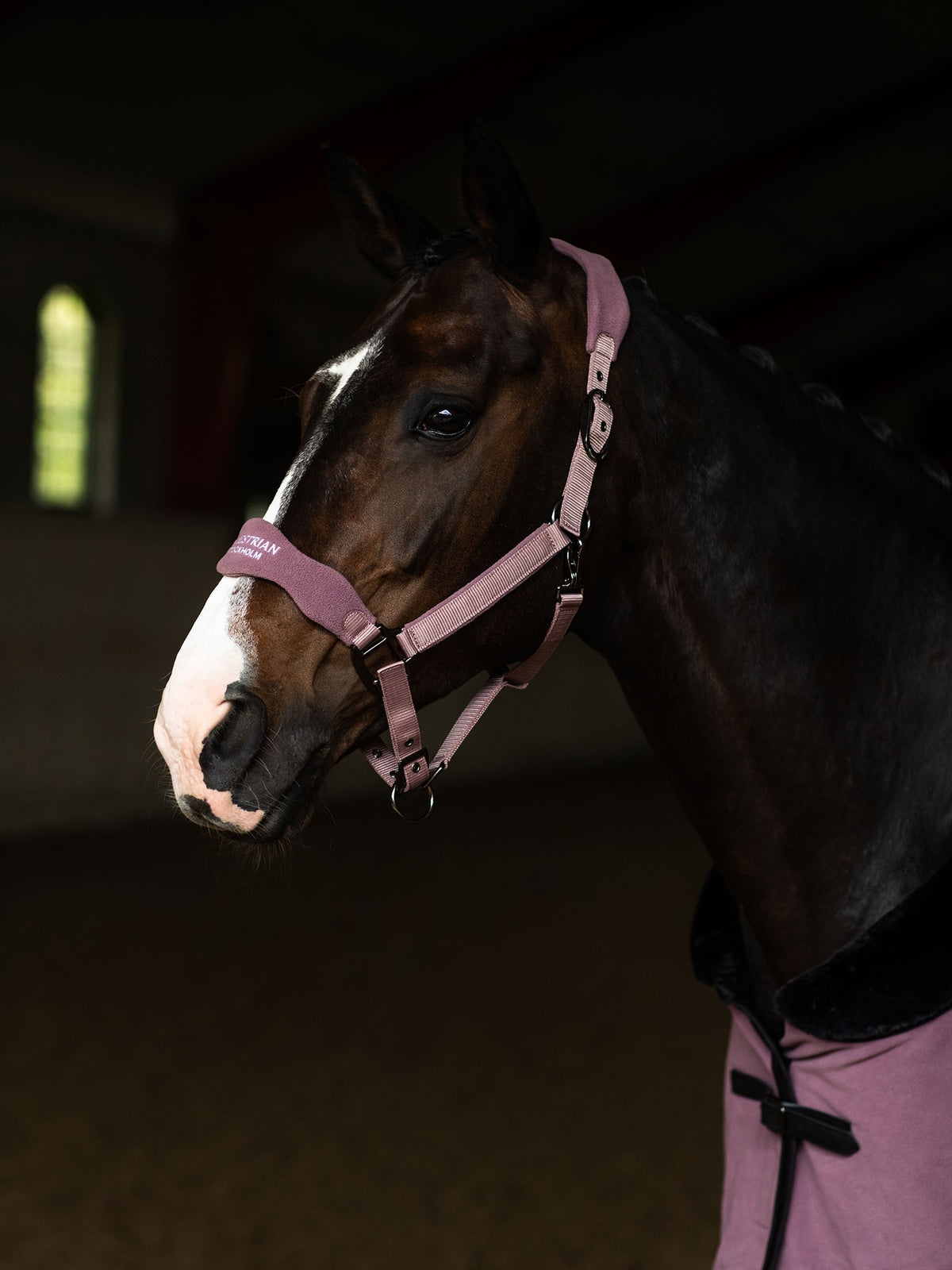 Anatomic Fleece Halter Blush