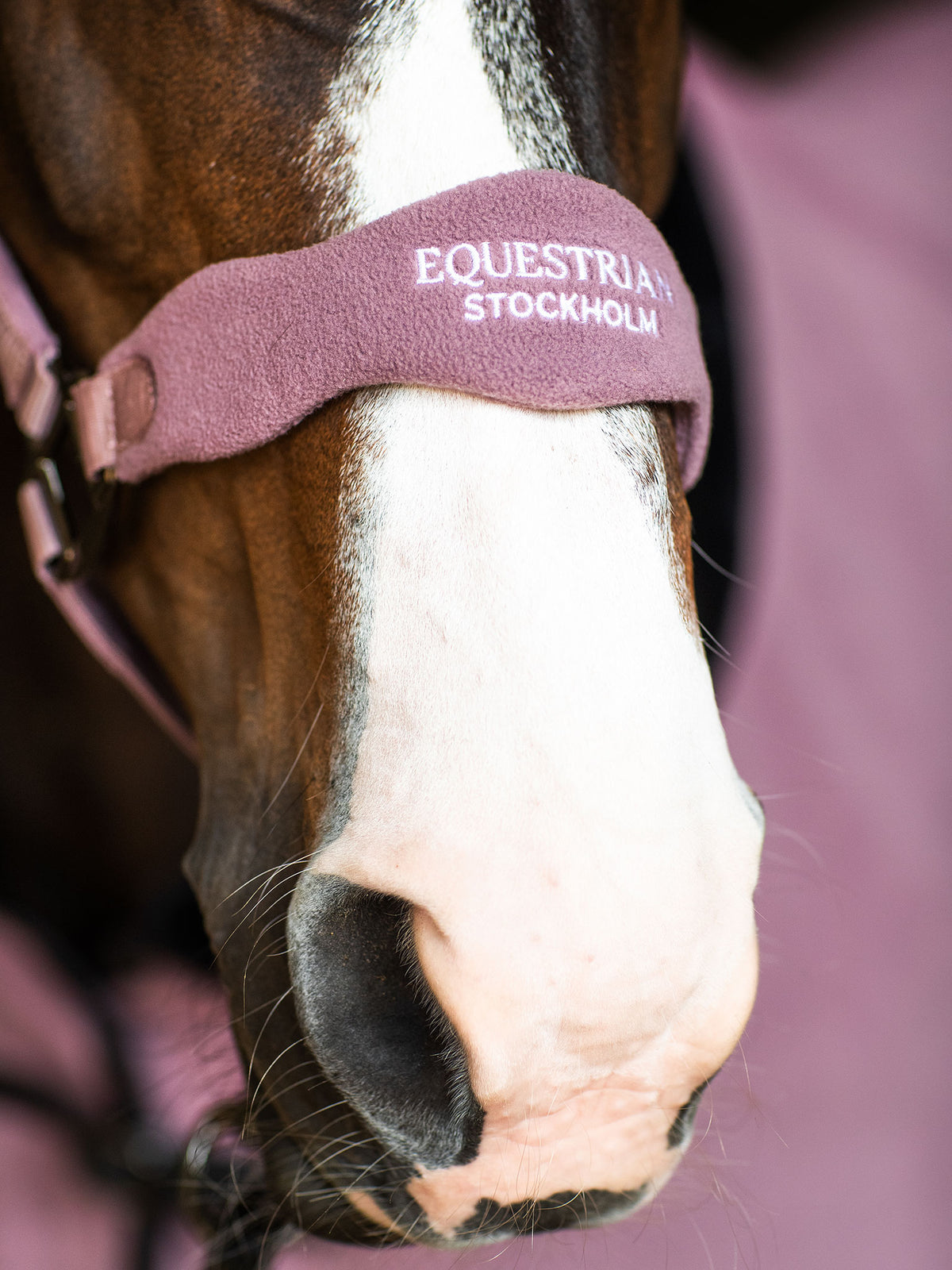 Anatomic Fleece Halter Blush