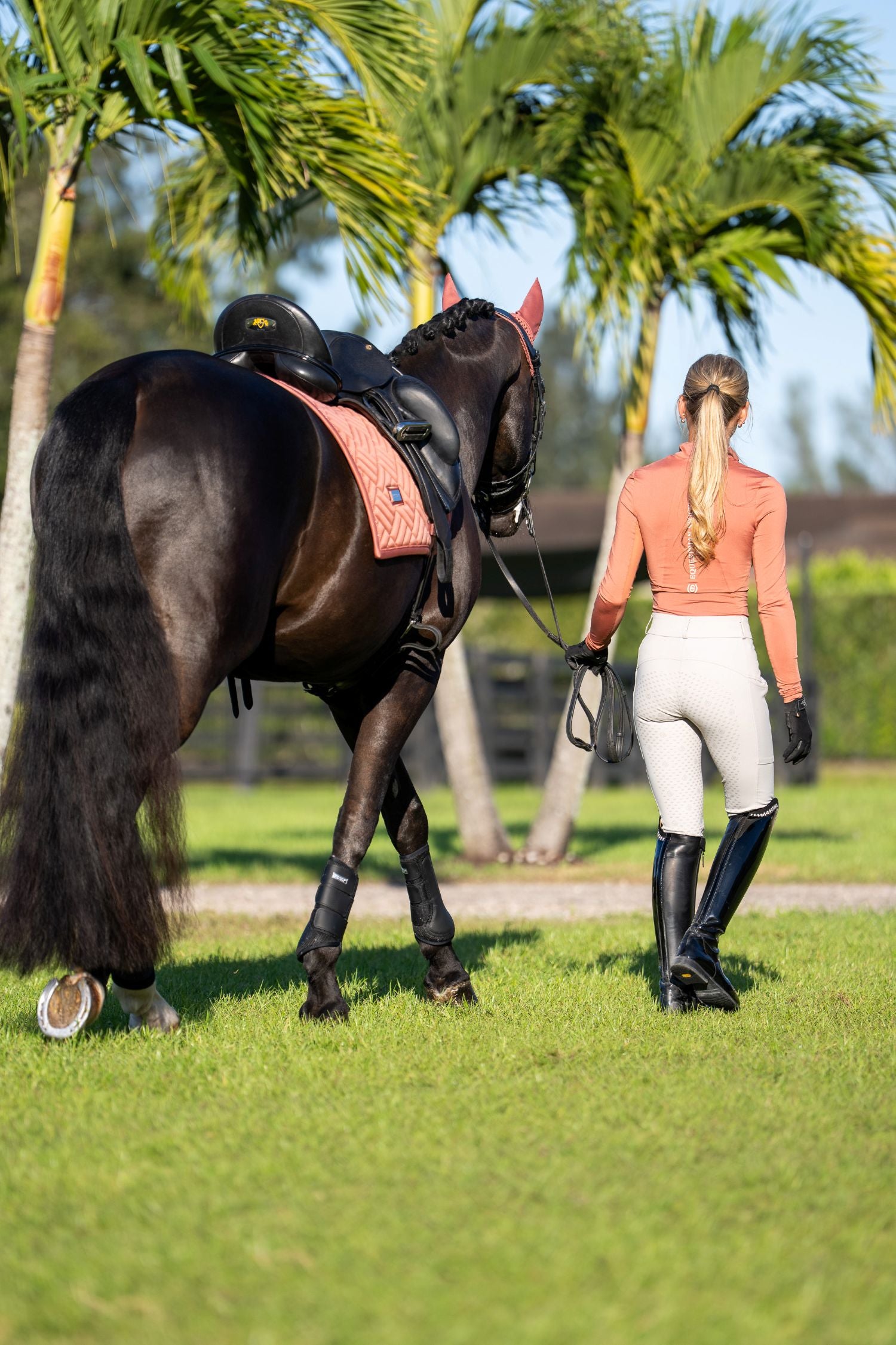 Dressyrschabrak Modern Coral