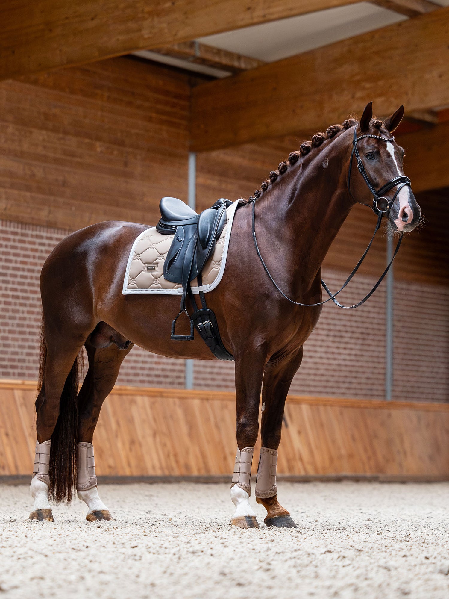 Dressage Saddle Pad Sand
