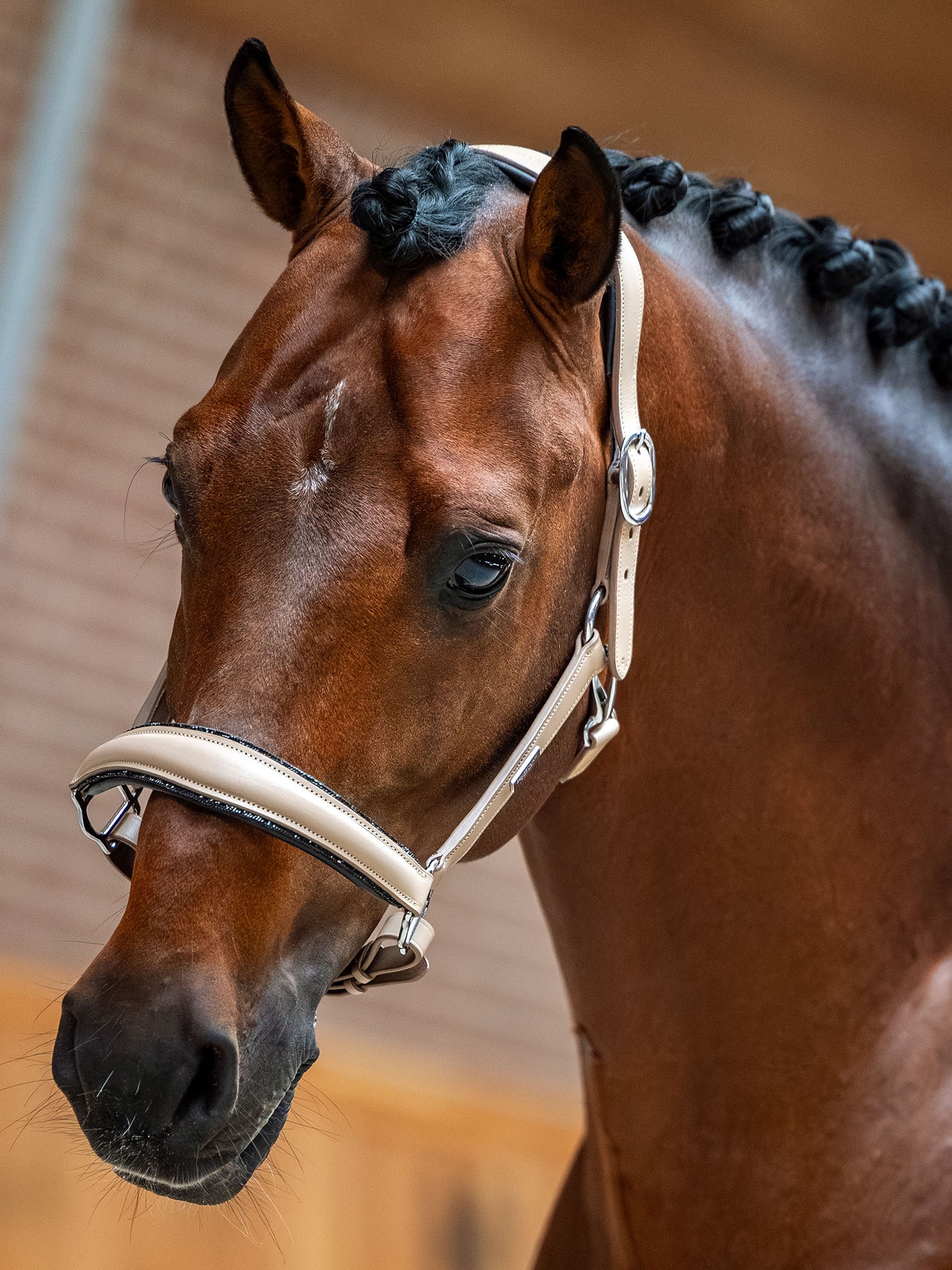 Anatomic Glimmer Leather Halter Sand