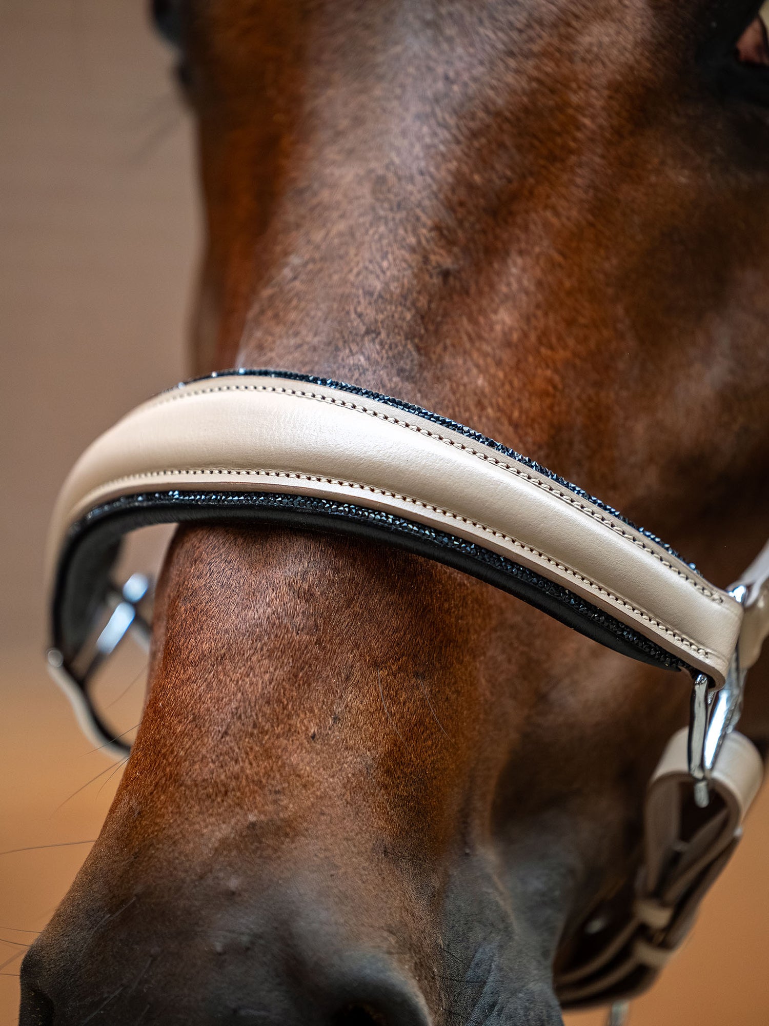 Anatomic Glimmer Leather Halter Sand