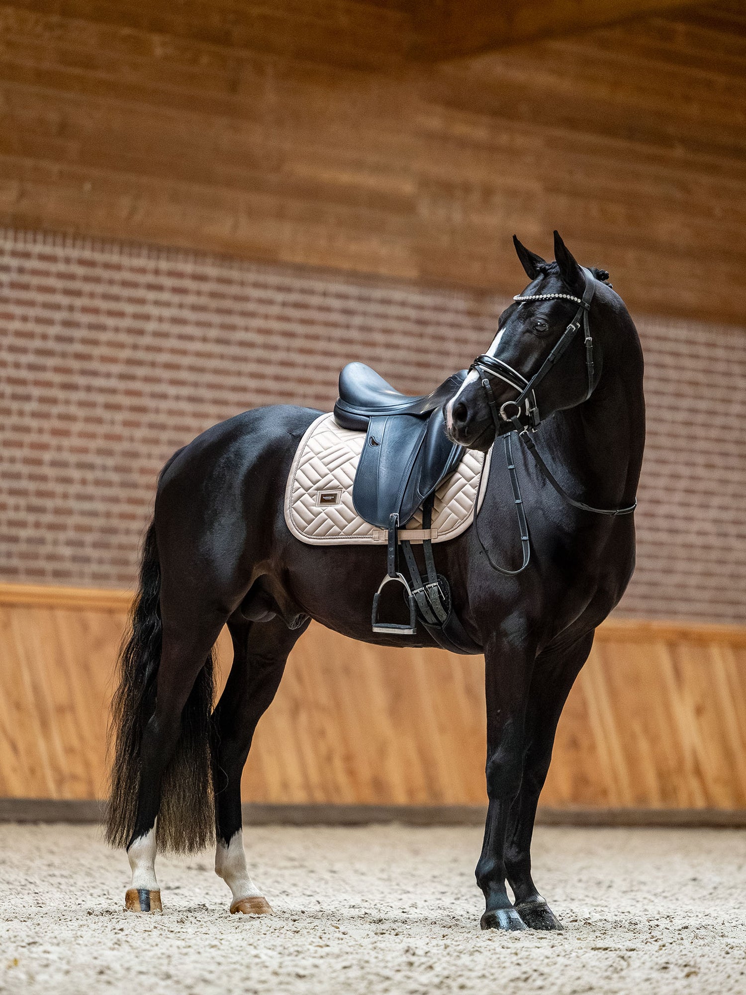 Dressage Saddle Pad Modern Sand