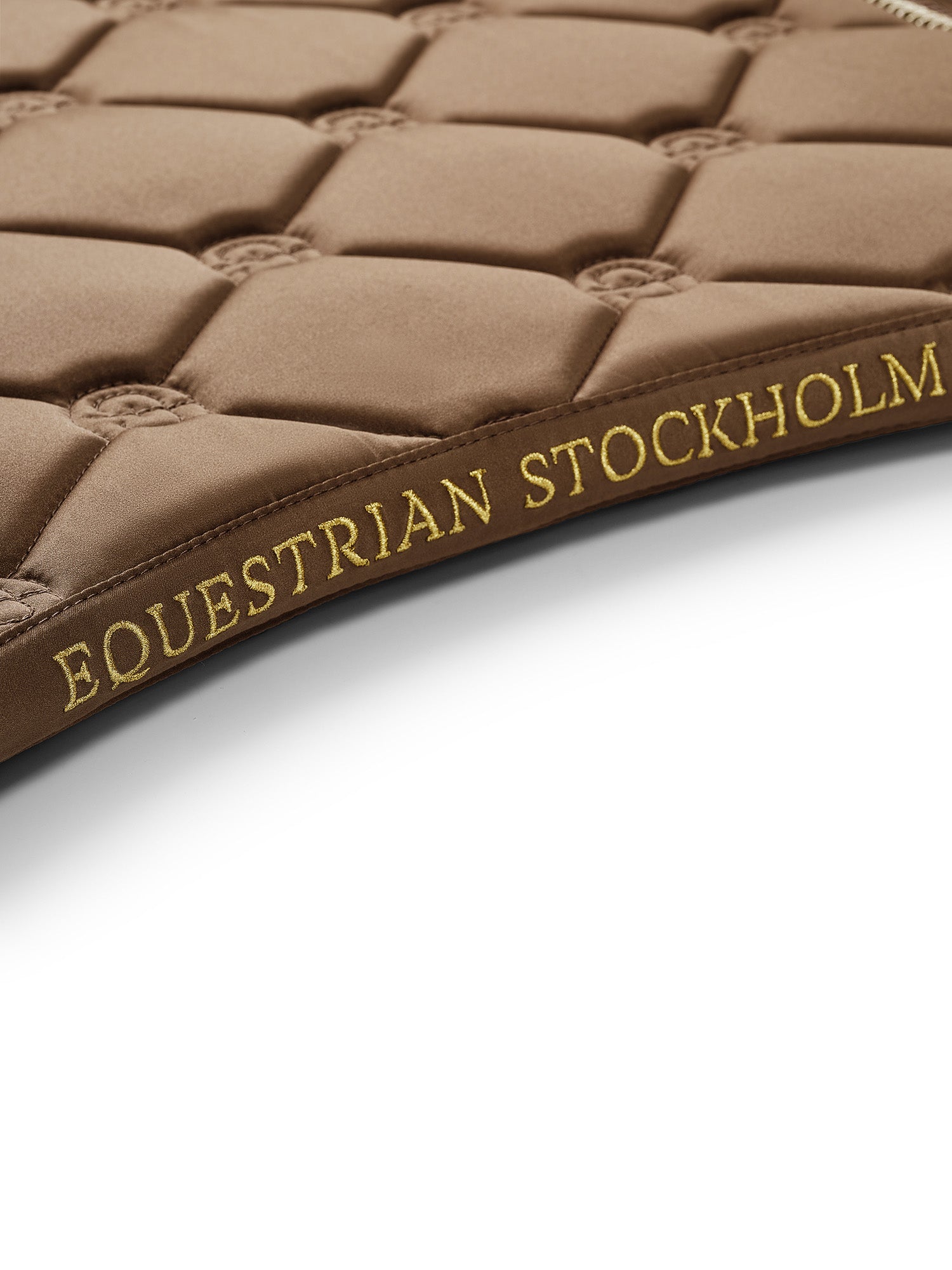 Dressyrschabrak Champagne