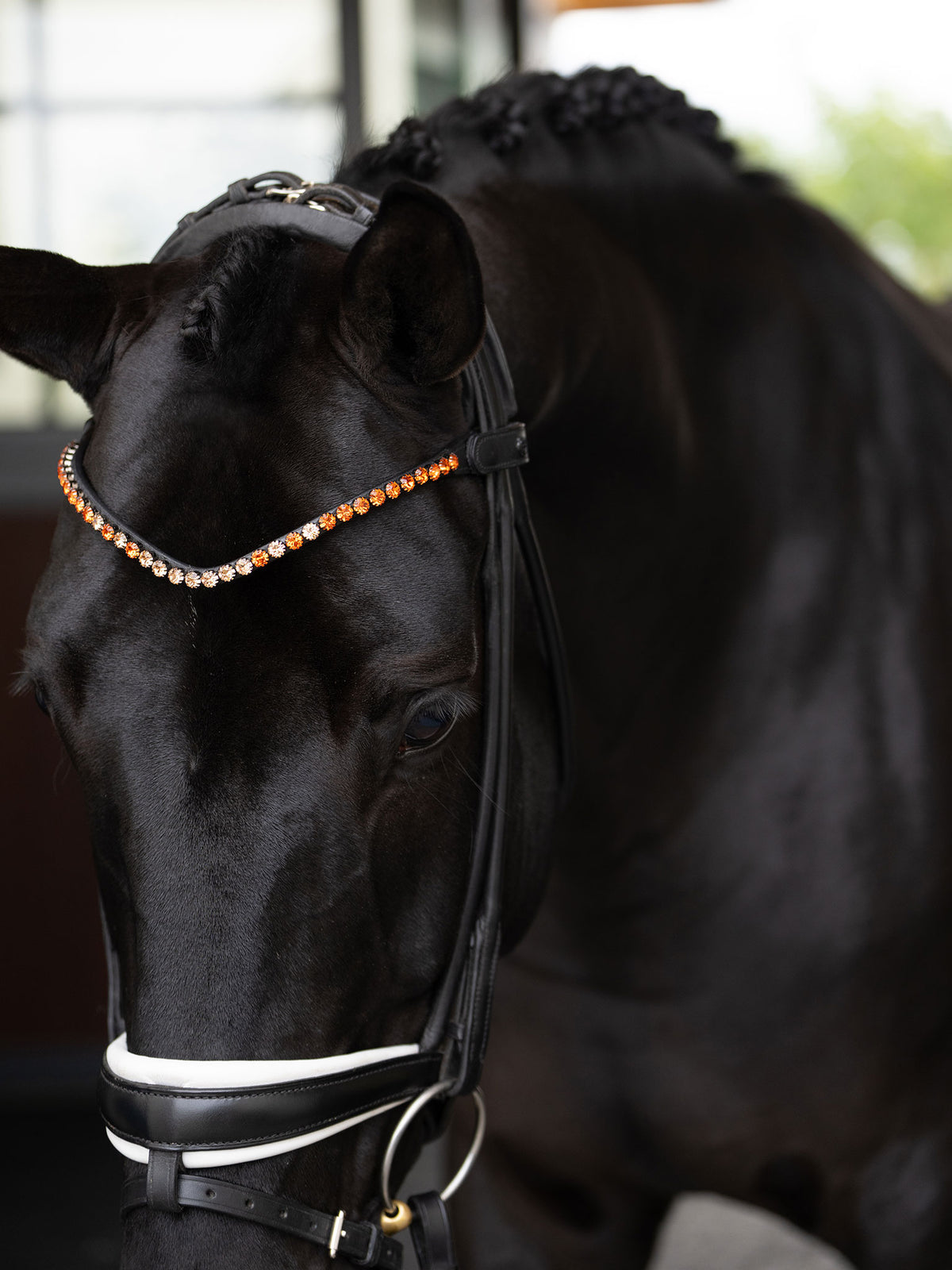 Browband Faded Chestnut 8 mm