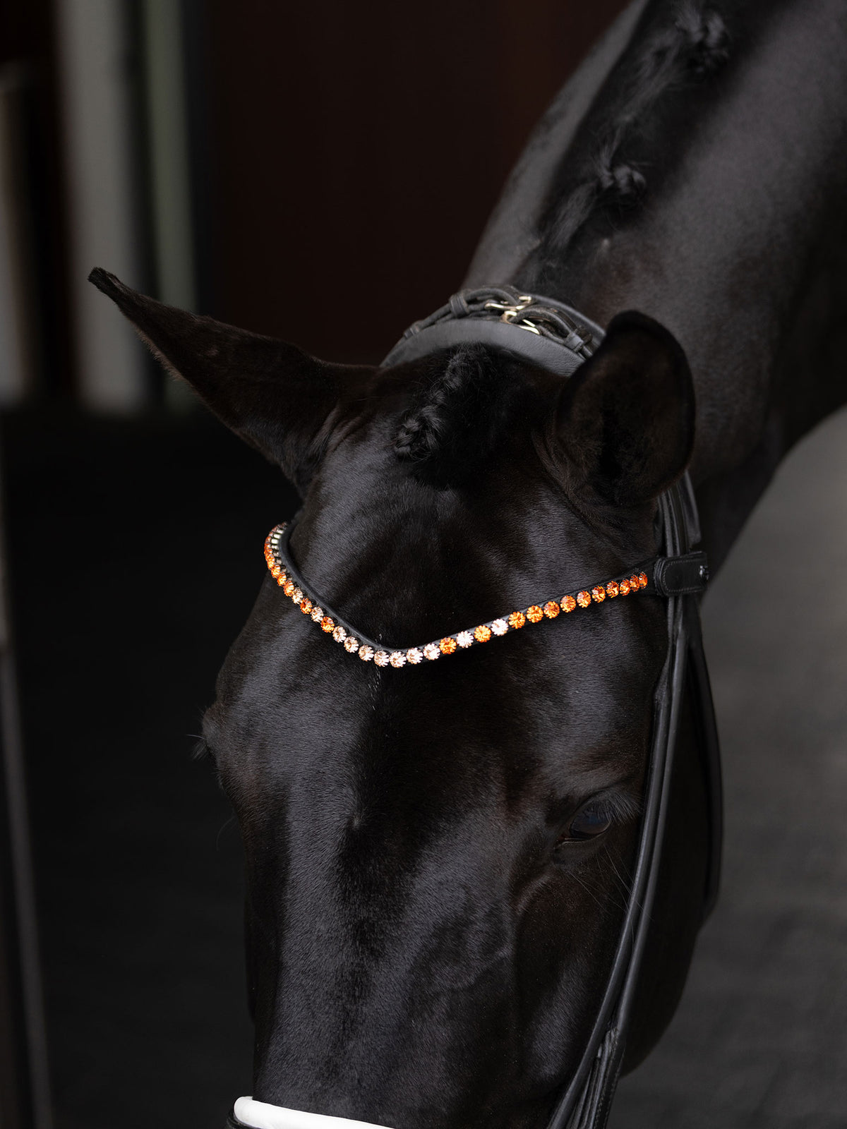 Browband Faded Chestnut 8 mm