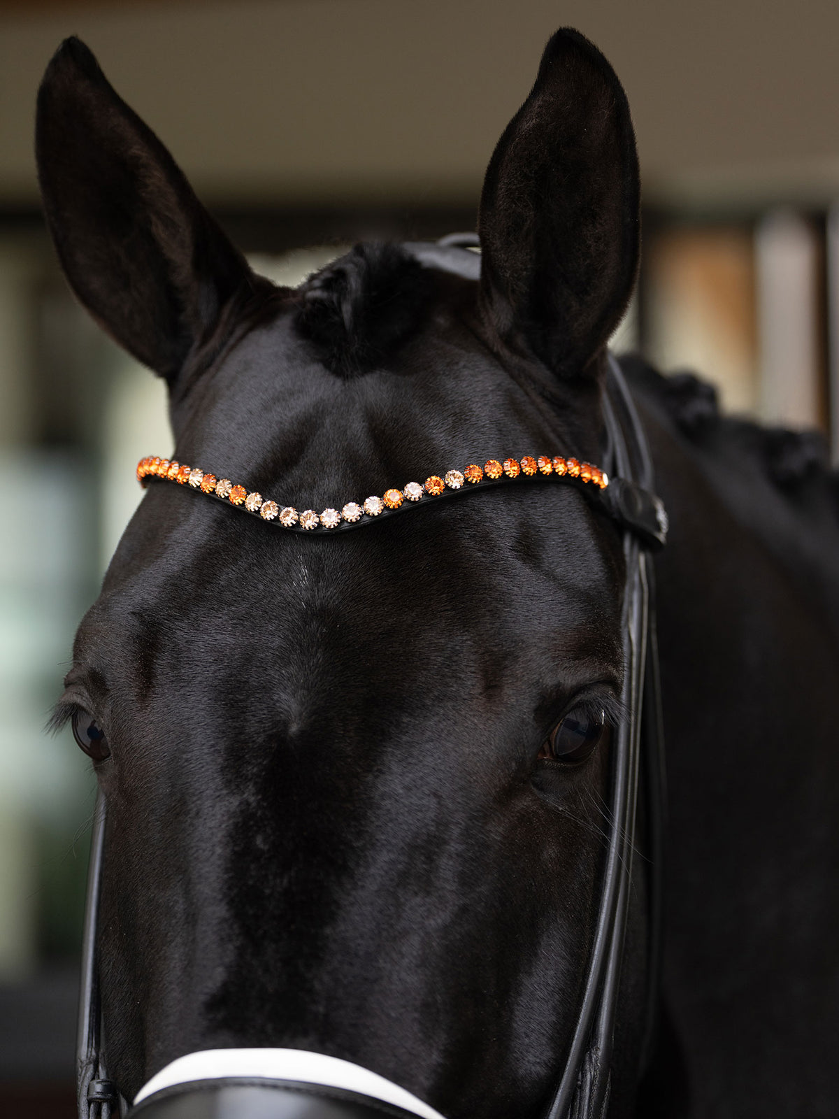Browband Faded Chestnut 8 mm