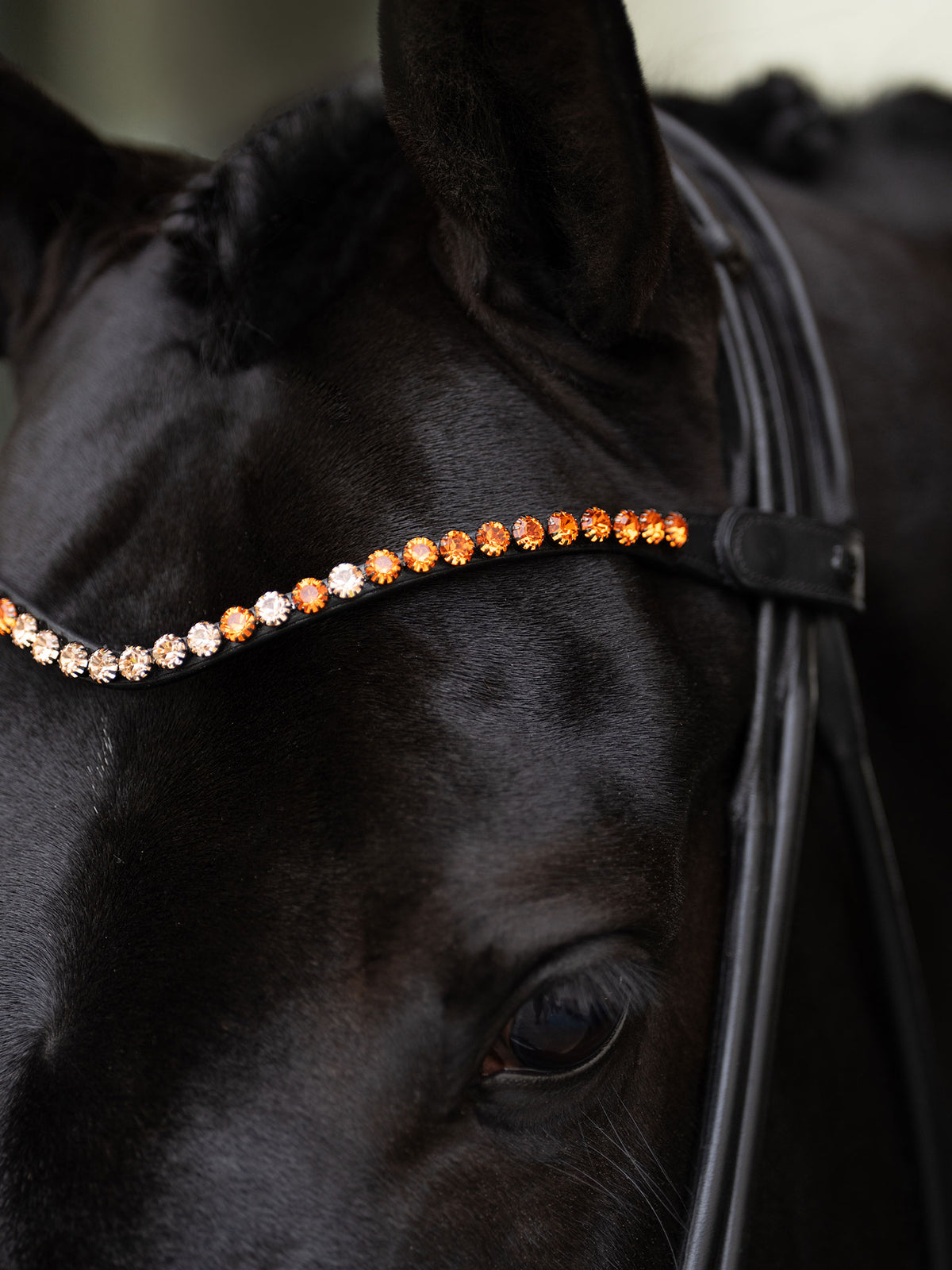 Browband Faded Chestnut 8 mm