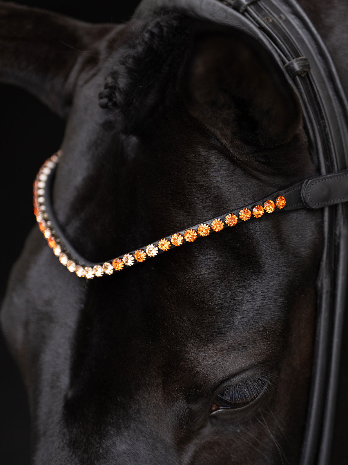 Browband Faded Chestnut 8 mm