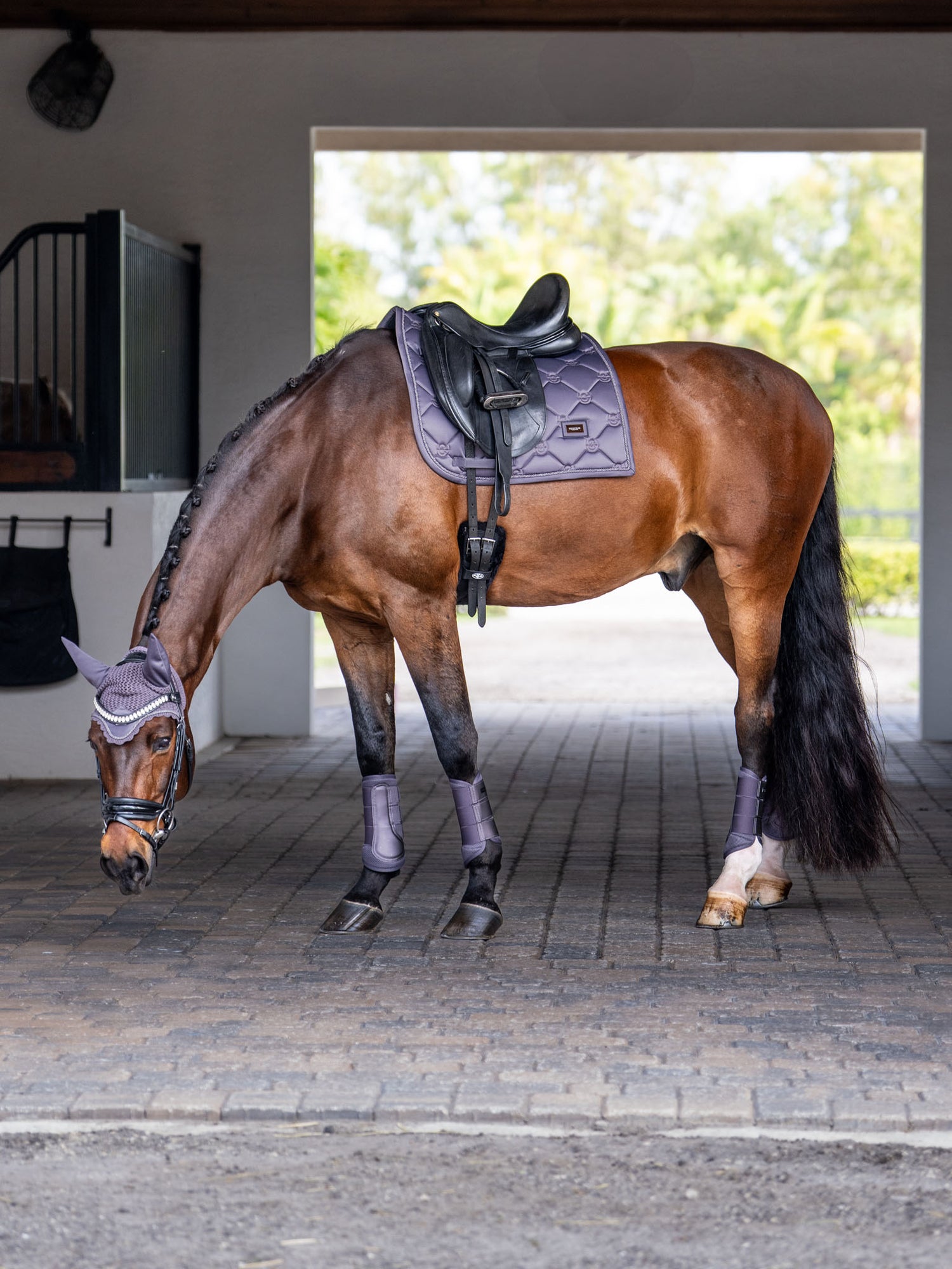 Bonnet de cheval Dark Violet