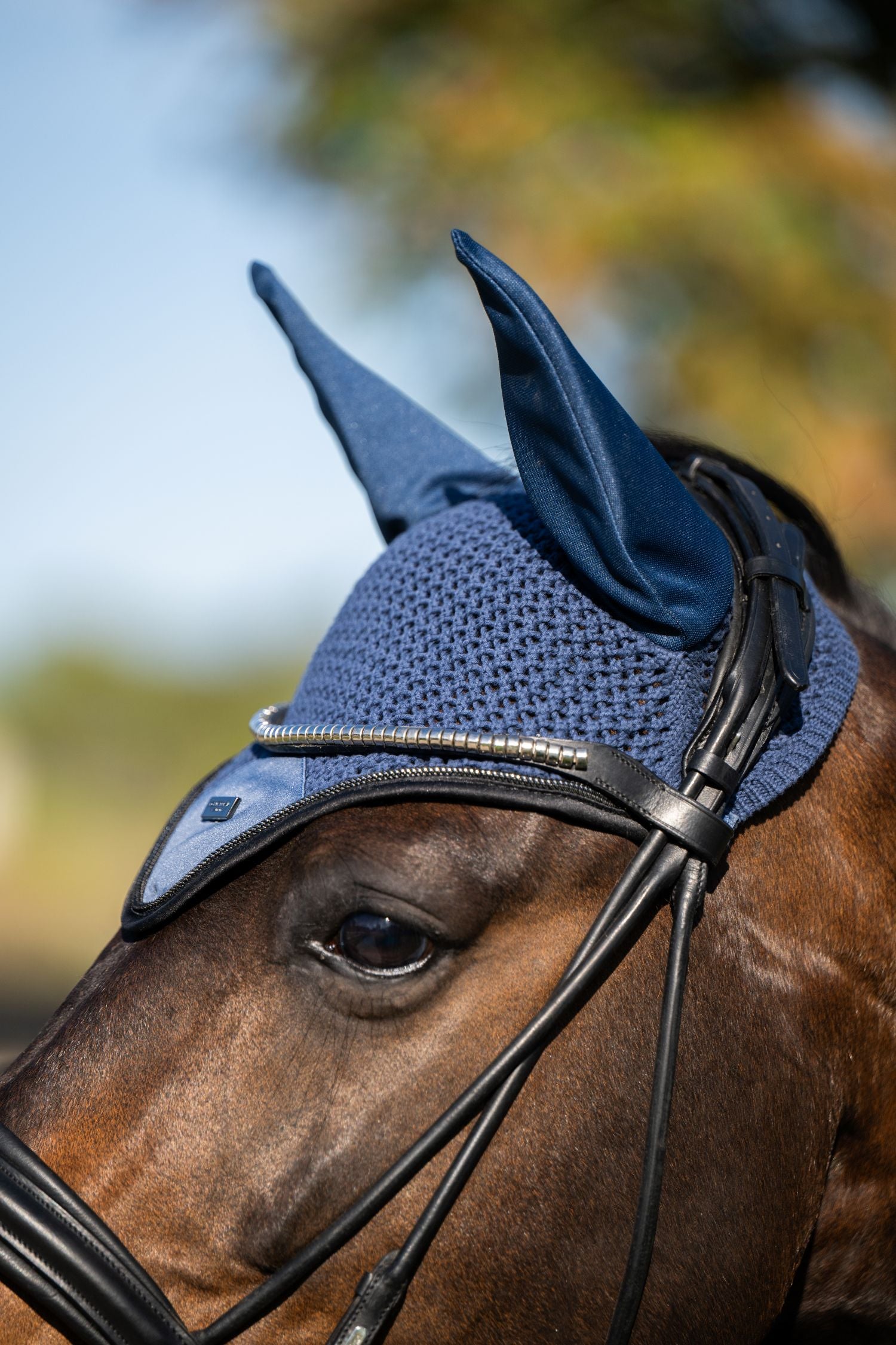 Ear Bonnet Dark Venice