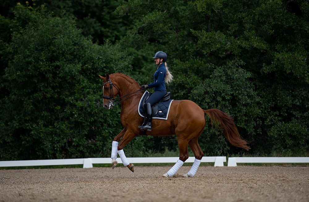 Dressage Saddle Pad Midnight White Edge
