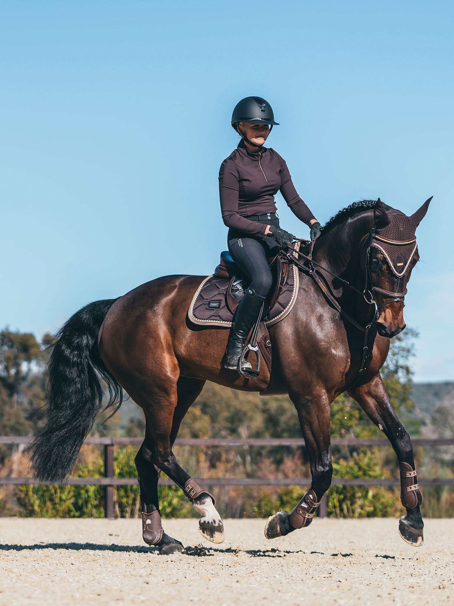 Anatomic Fetlock Boots Brown