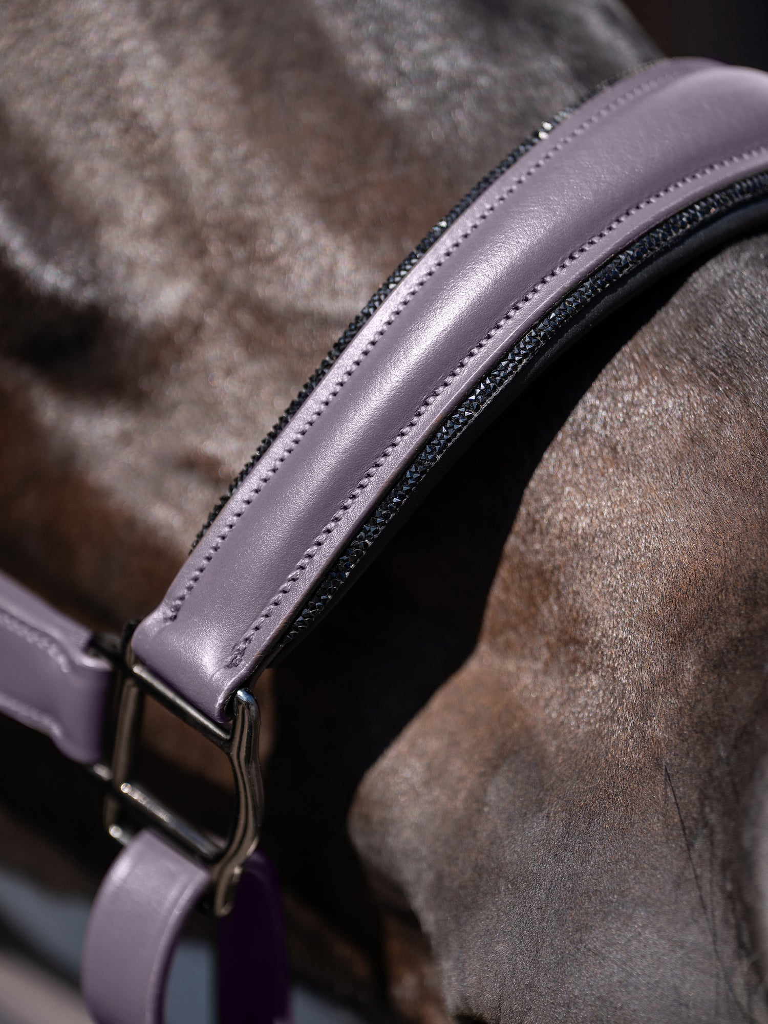 Licol en cuir anatomique Glimmer