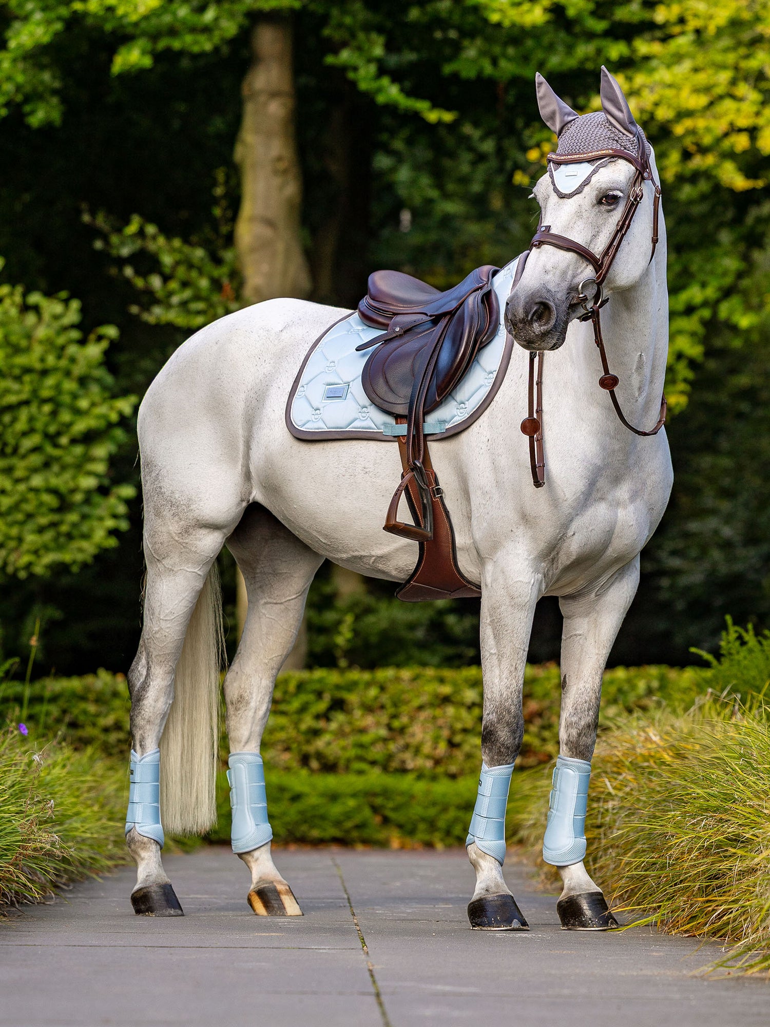 Jump Saddle Pad Ice Blue Pearl
