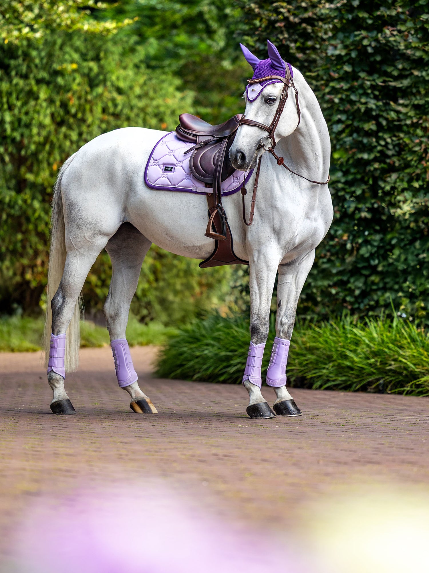 Jump Saddle Pad Lavender Pearl