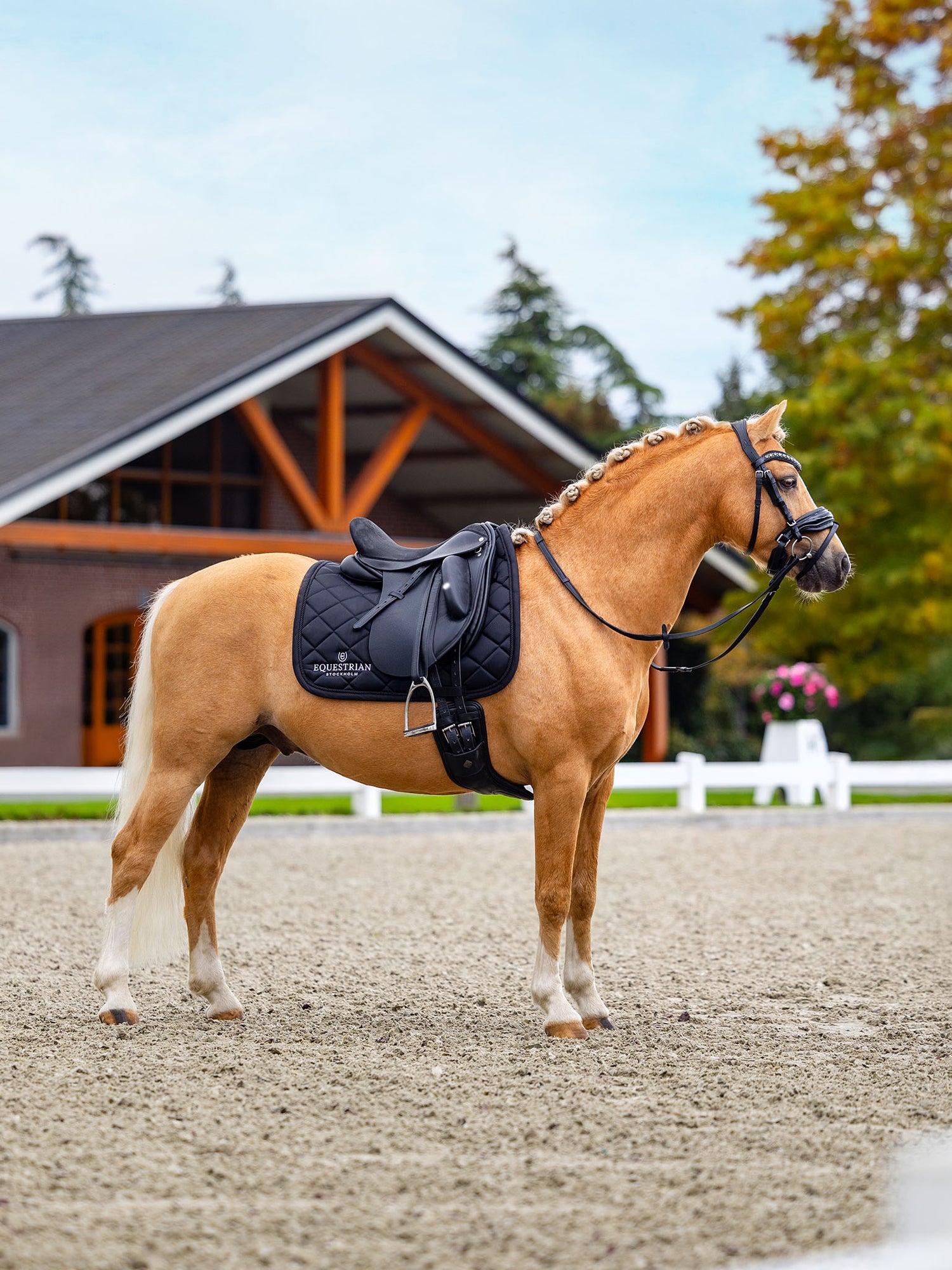 Equestrian Stockholm Dressurunderlag Line Black på en flettet fuksfarvet hest på en udendørs ridebane.