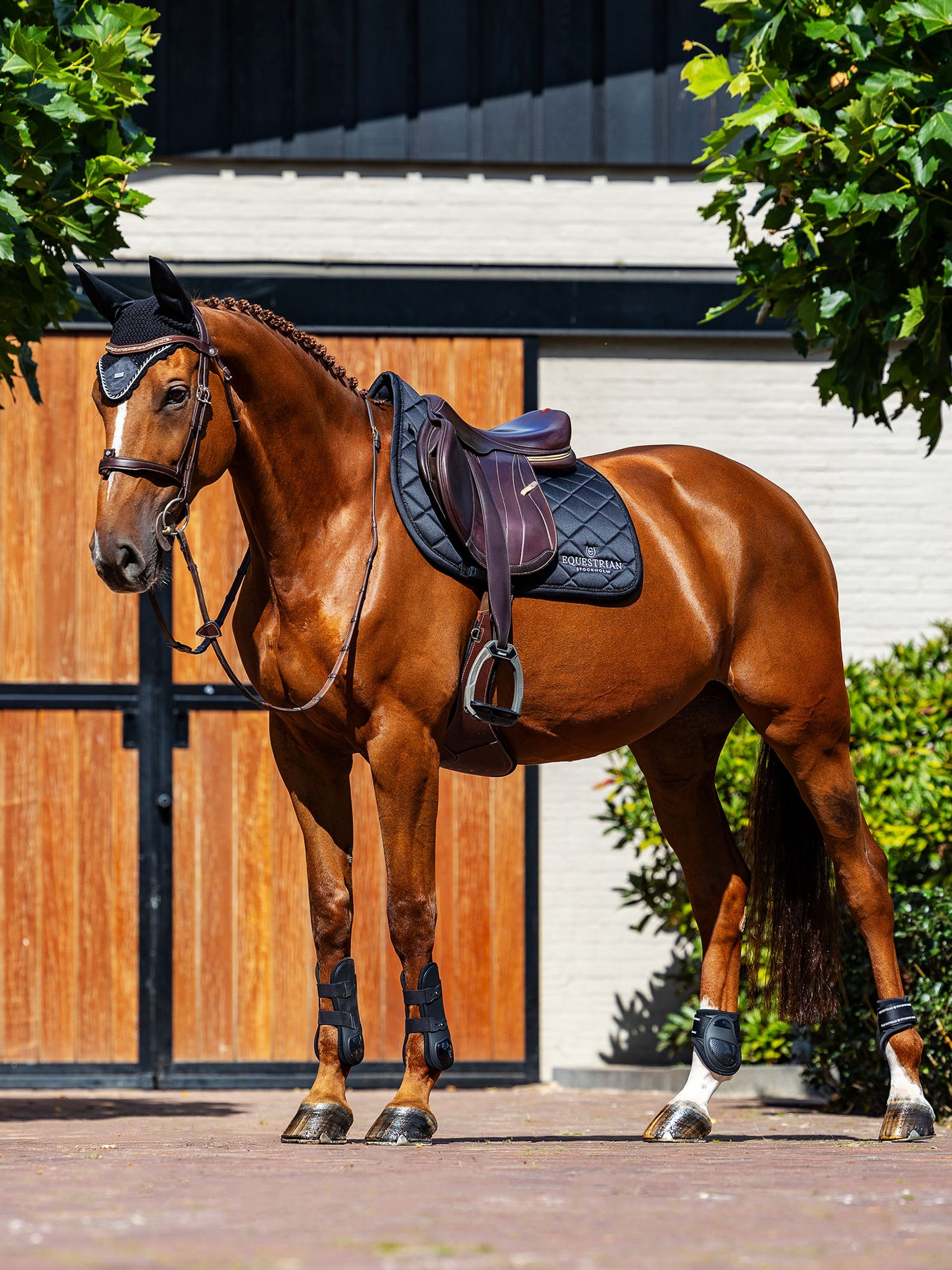 Equestrian Stockholm Jump Saddle Pad Line Black on a bay horse with a matching ear net and protective leg boots.