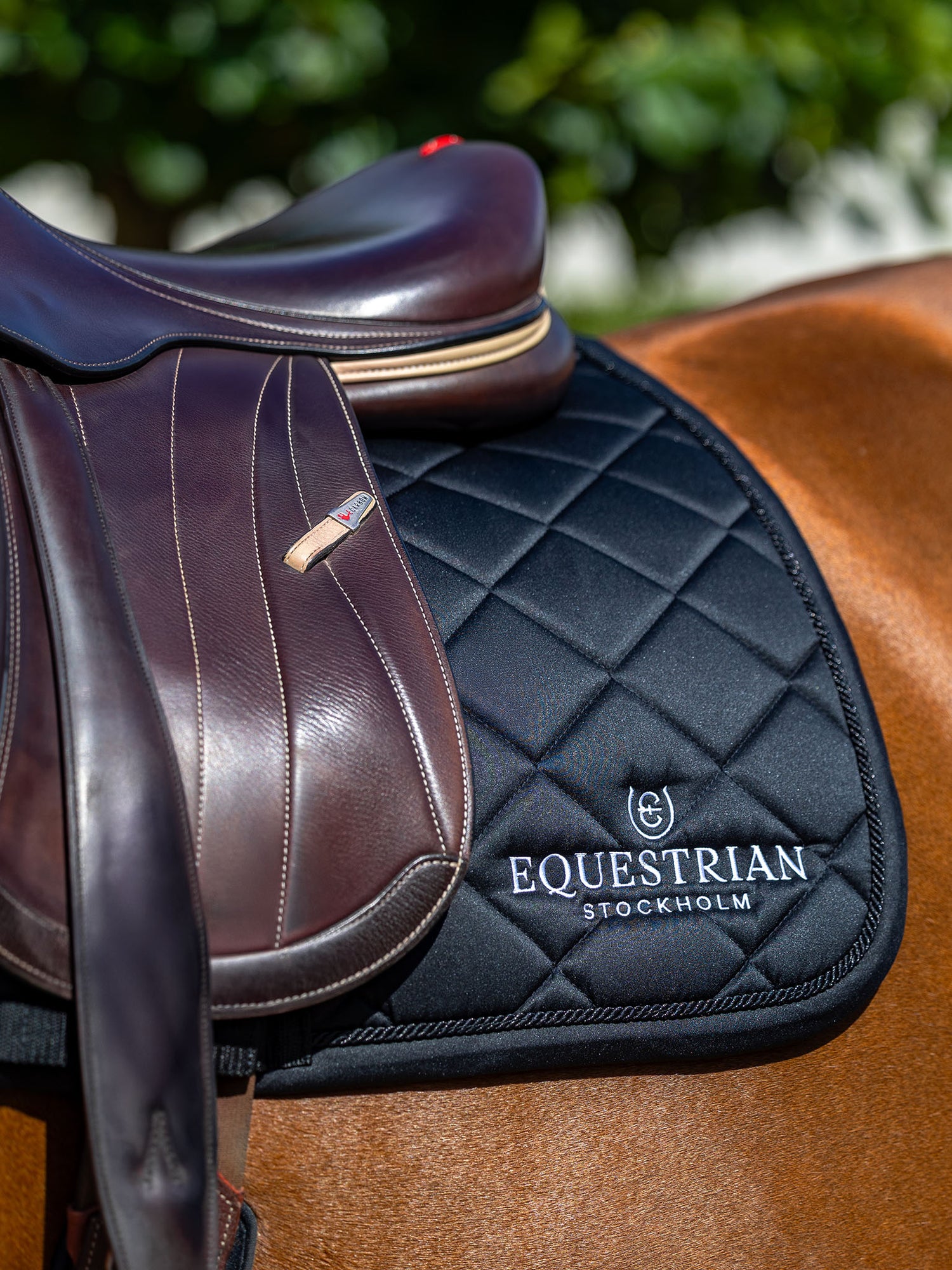 Jump Saddle Pad Line Black