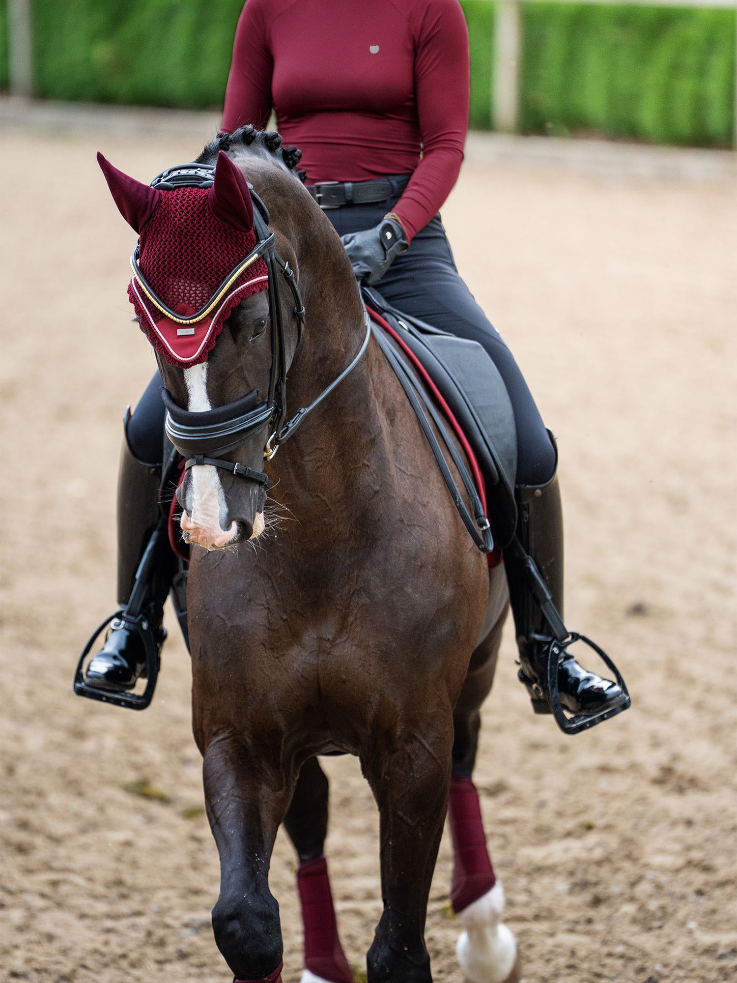 Ear Bonnet Bordeaux