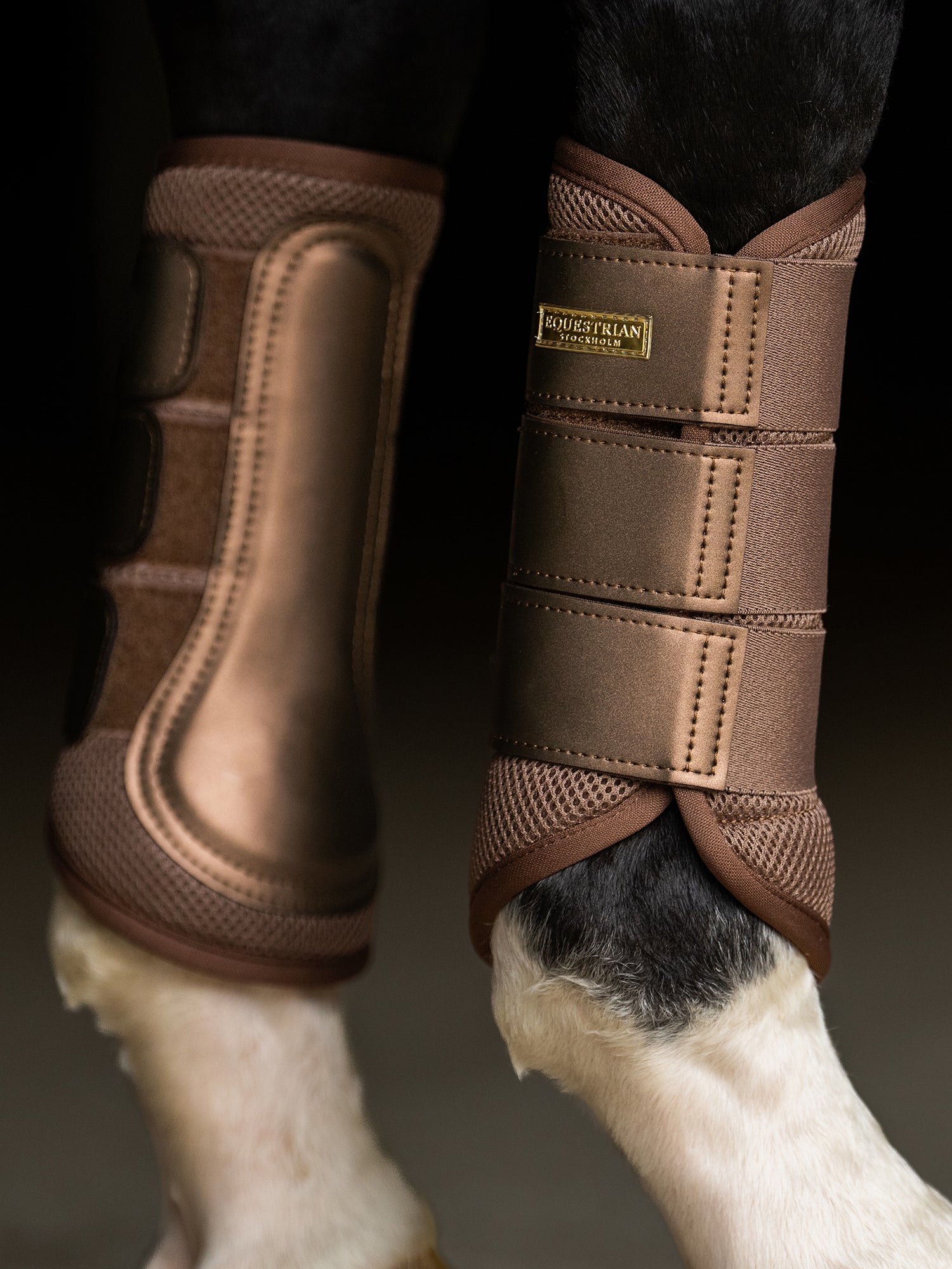 Immagine in studio di Equestrian Stockholm Stinchiere Mesh Champagne sulle gambe del cavallo con dettagli oro.