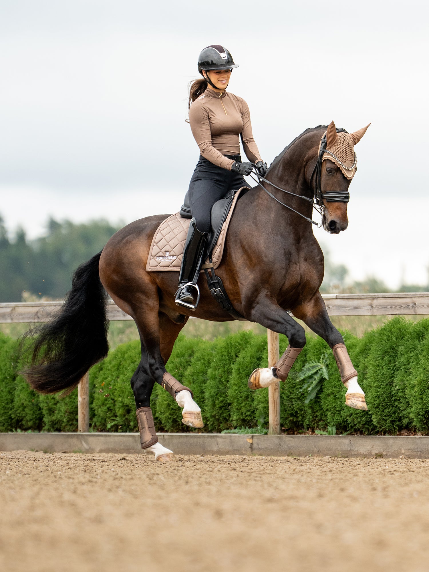 Equestrian Stockholm Dressage Saddle Pad Line Champagne on a bay horse with a rider, matching bonnet, and boots.