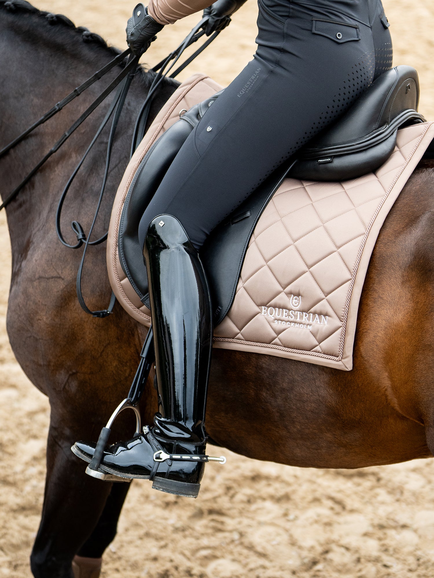 Studio image of Equestrian Stockholm Dressage Saddle Pad Line Champagne on a bay horse with a black saddle, stirrup and boot.