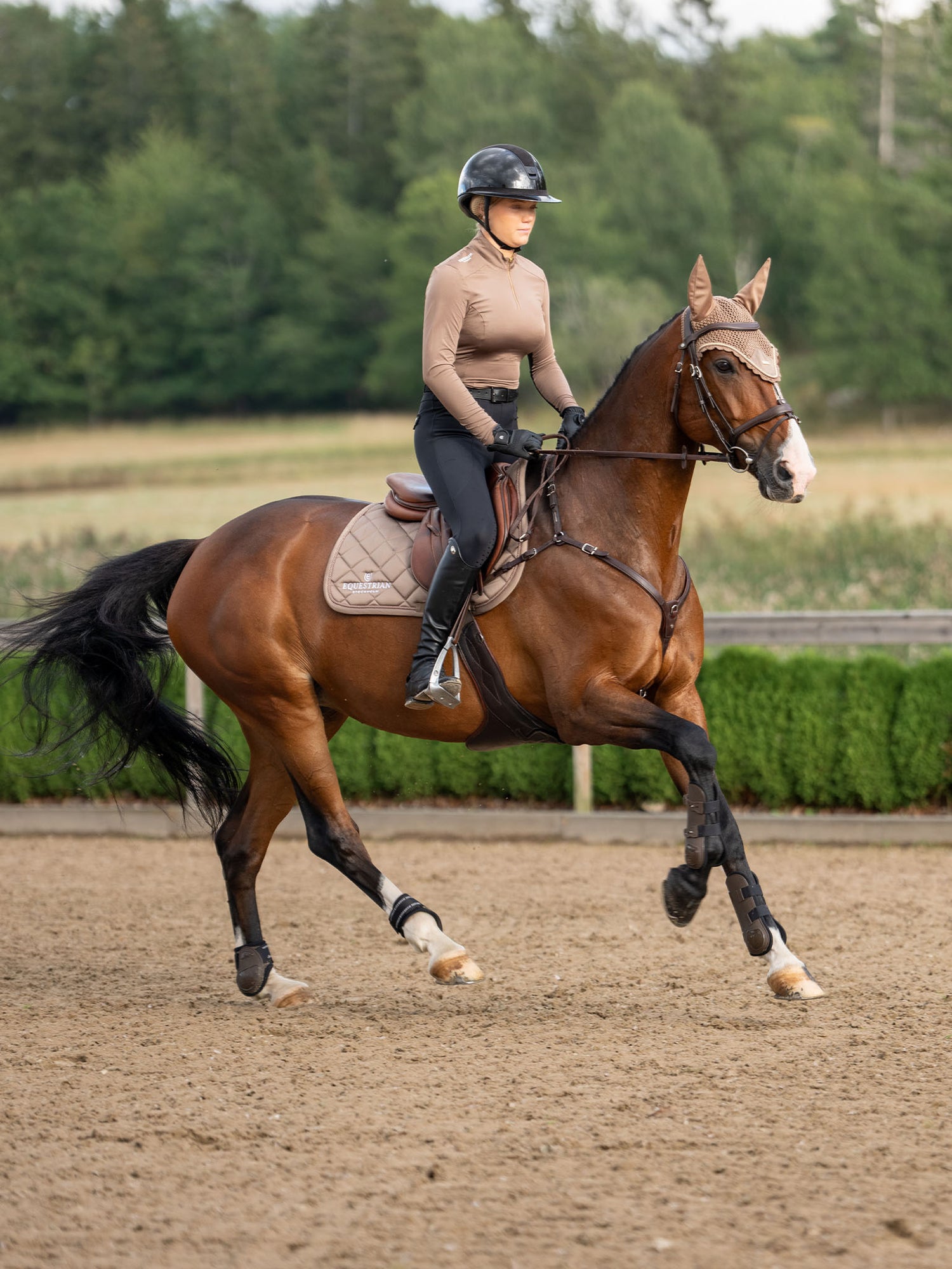 Reiter auf braunem Pferd mit Equestrian Stockholm Springschabracke Line Champagne und Fliegenhaube in einer Arena.