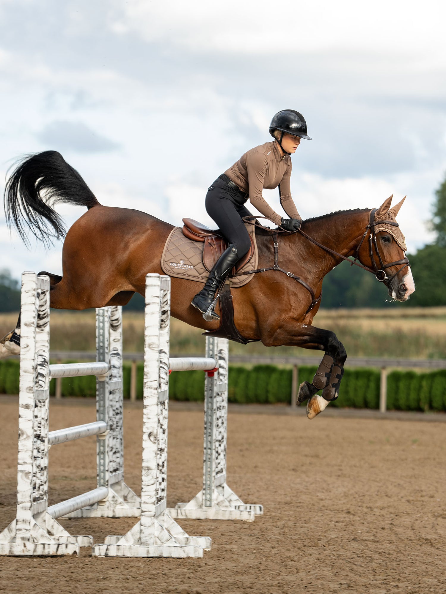 Equestrian Stockholm Springschabracke Line Champagne und Fliegenhaube auf einem braunen Pferd mit Reiter beim Springen.