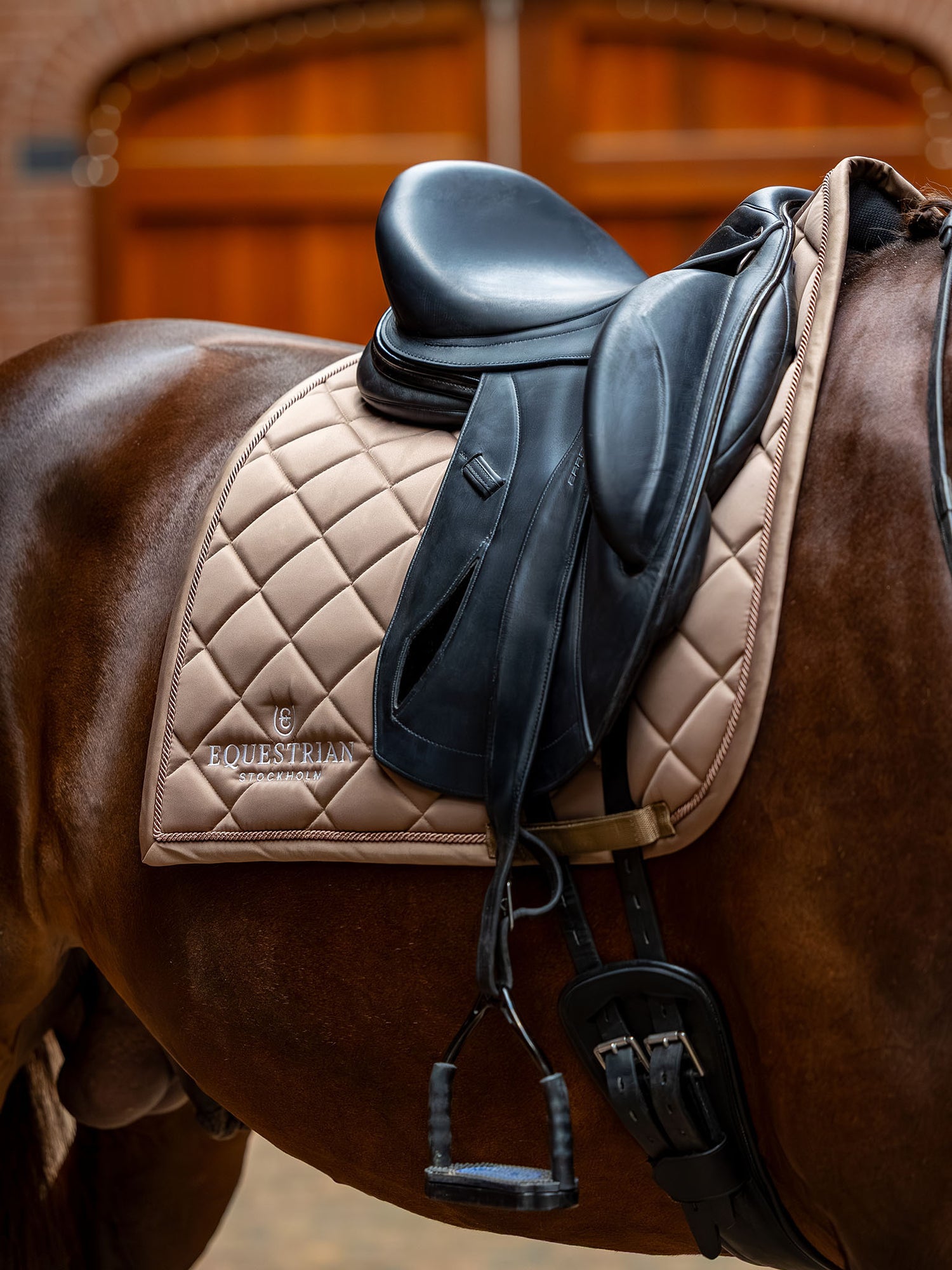 Dressage Saddle Pad Line Champagne