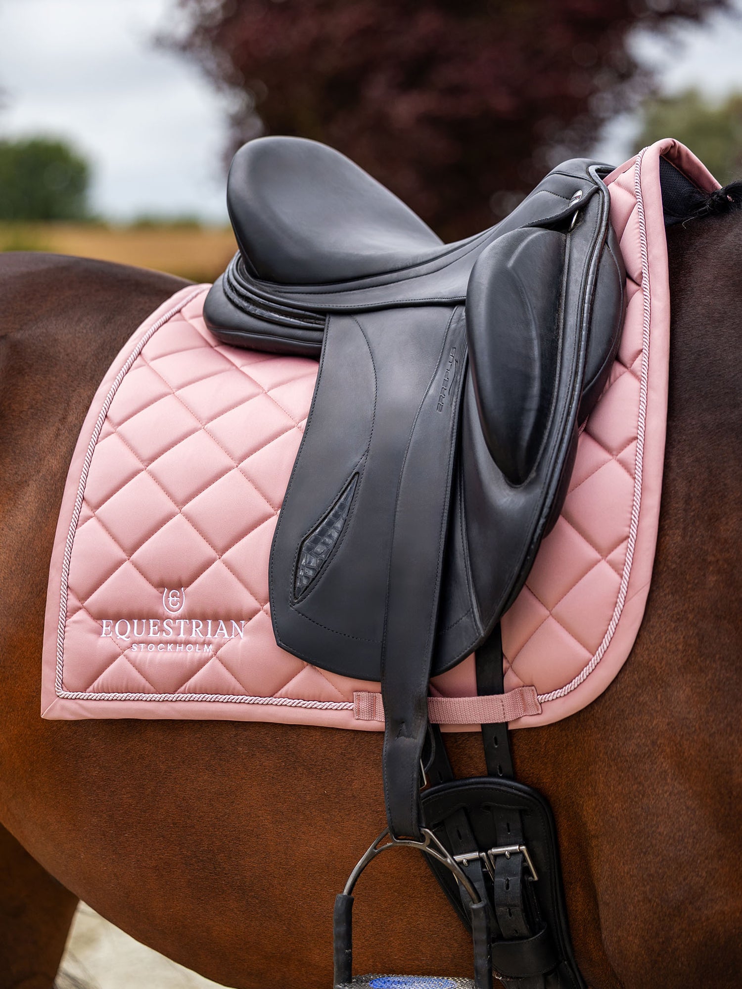 Dressage Saddle Pad Line Pink